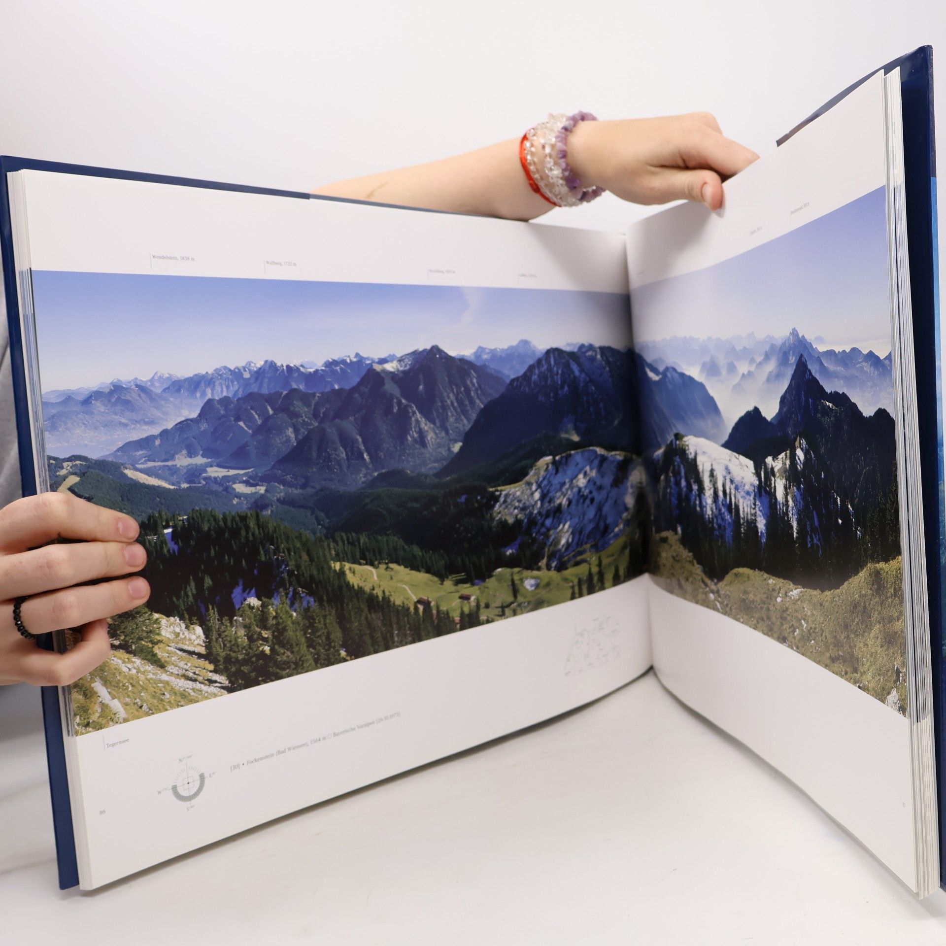 Rudolf Rother Die Alpen im Panorama