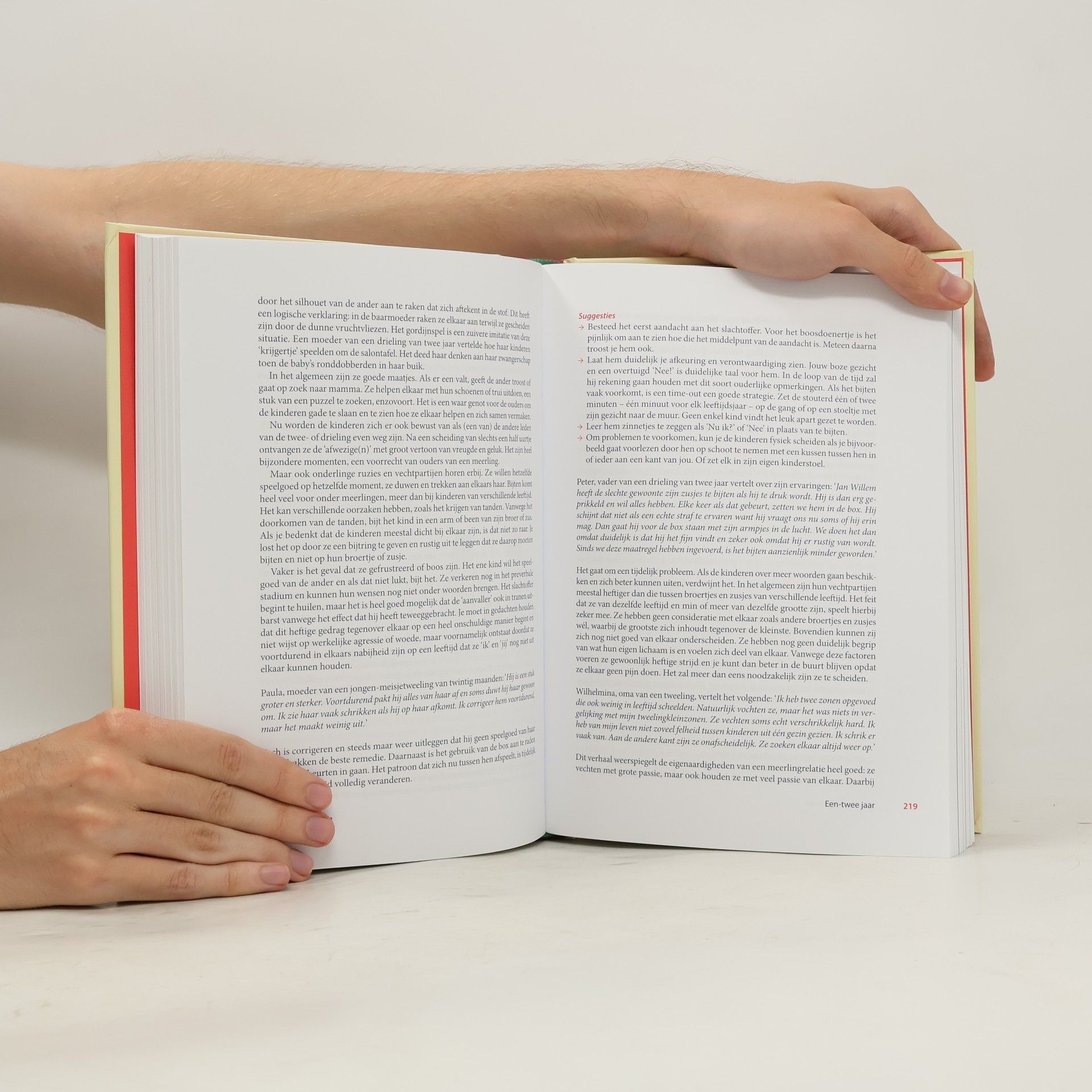 Coks Feenstra Het grote tweelingenboek