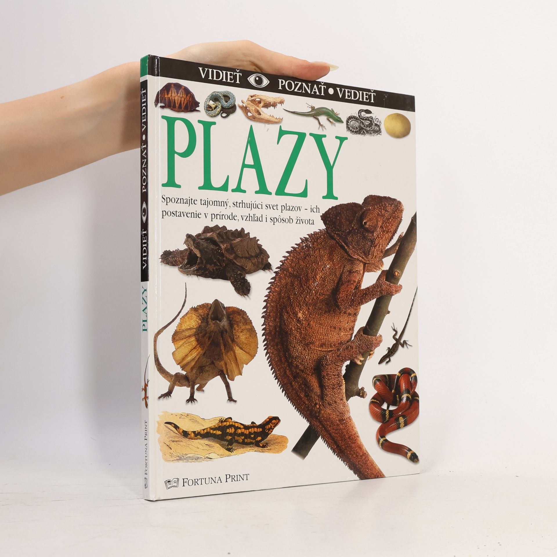 Various authors Plazy