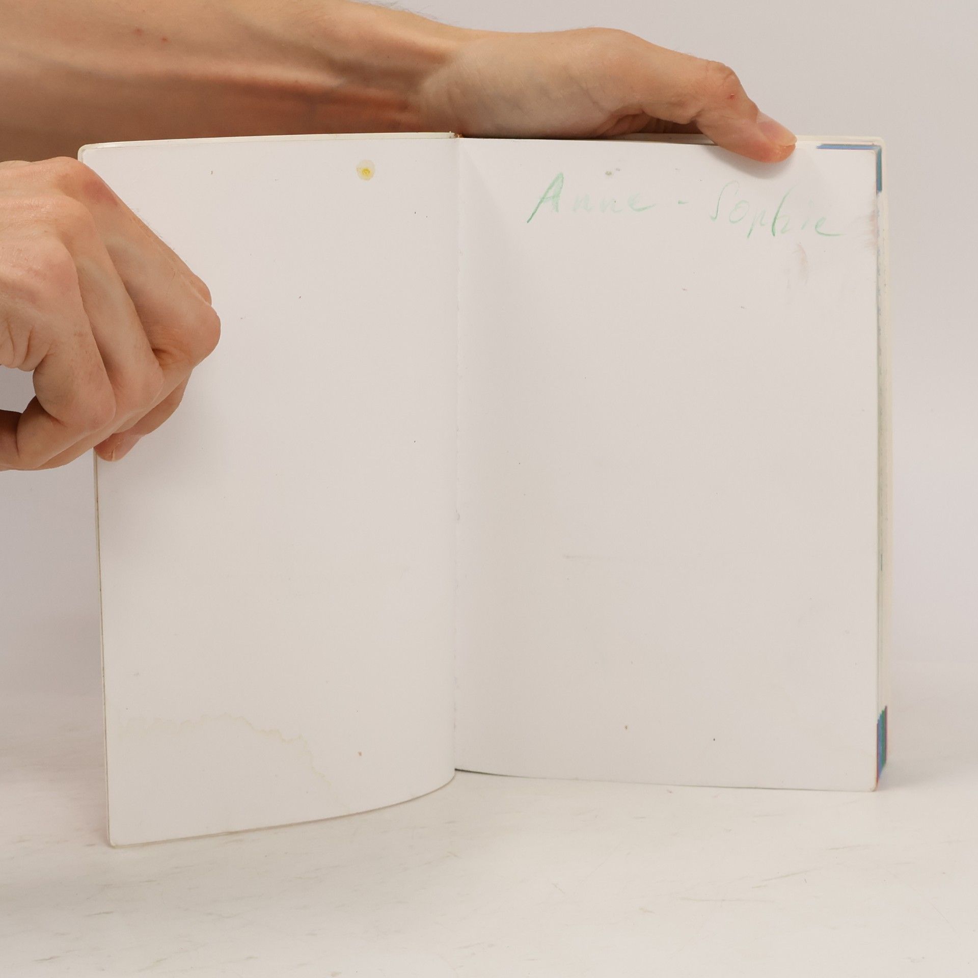Gerhard Sennlaub Von A bis Zett. Wörterbuch für Grundschulkinder. Mit Bild-Wort-Lexikon Englisch