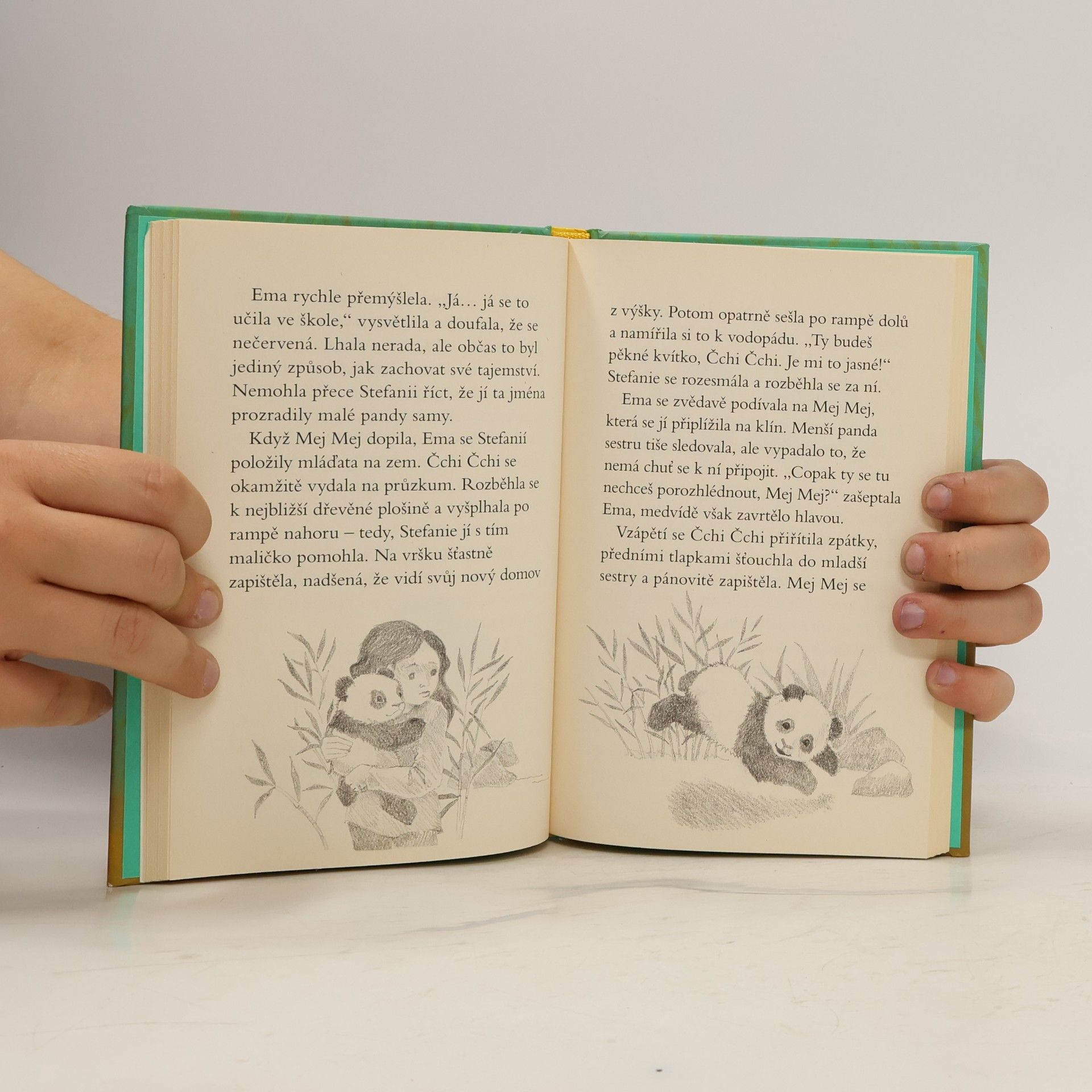 Amelia Cobb Ema a její kouzelná zoo. Rozpustilá panda