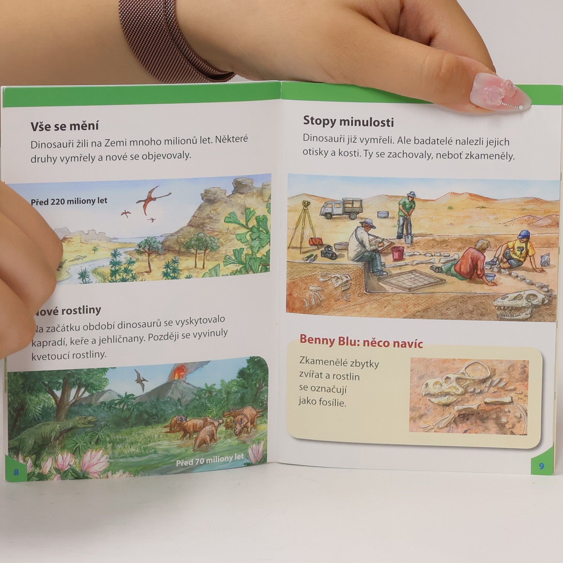 Nicola Herbst Dinosauři: Fascinující pravěká zvířata