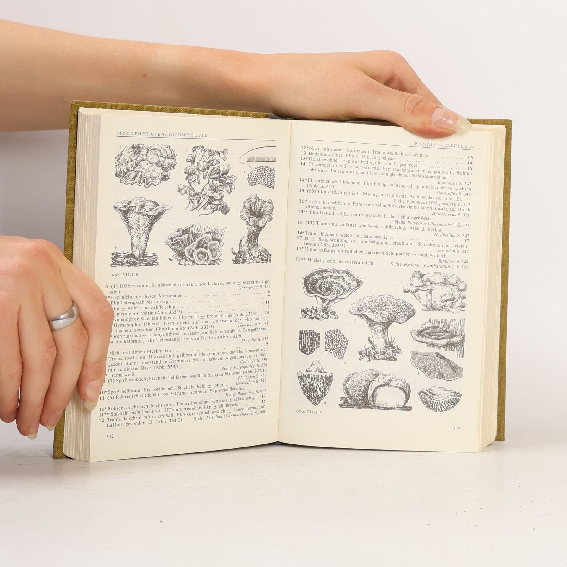 Werner Rothmaler Exkursionsflora 1