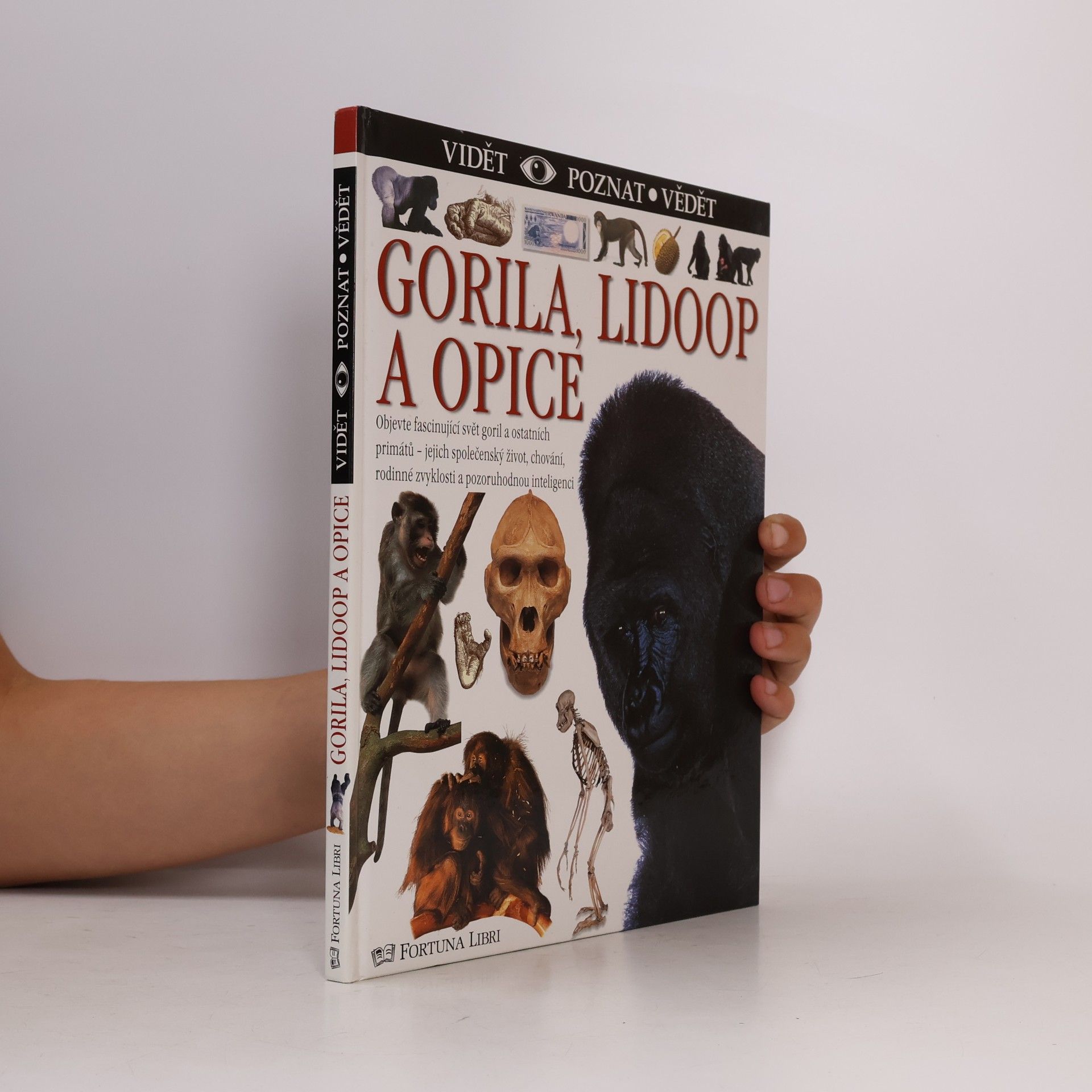 Ian Redmond Gorila, lidoop a opice