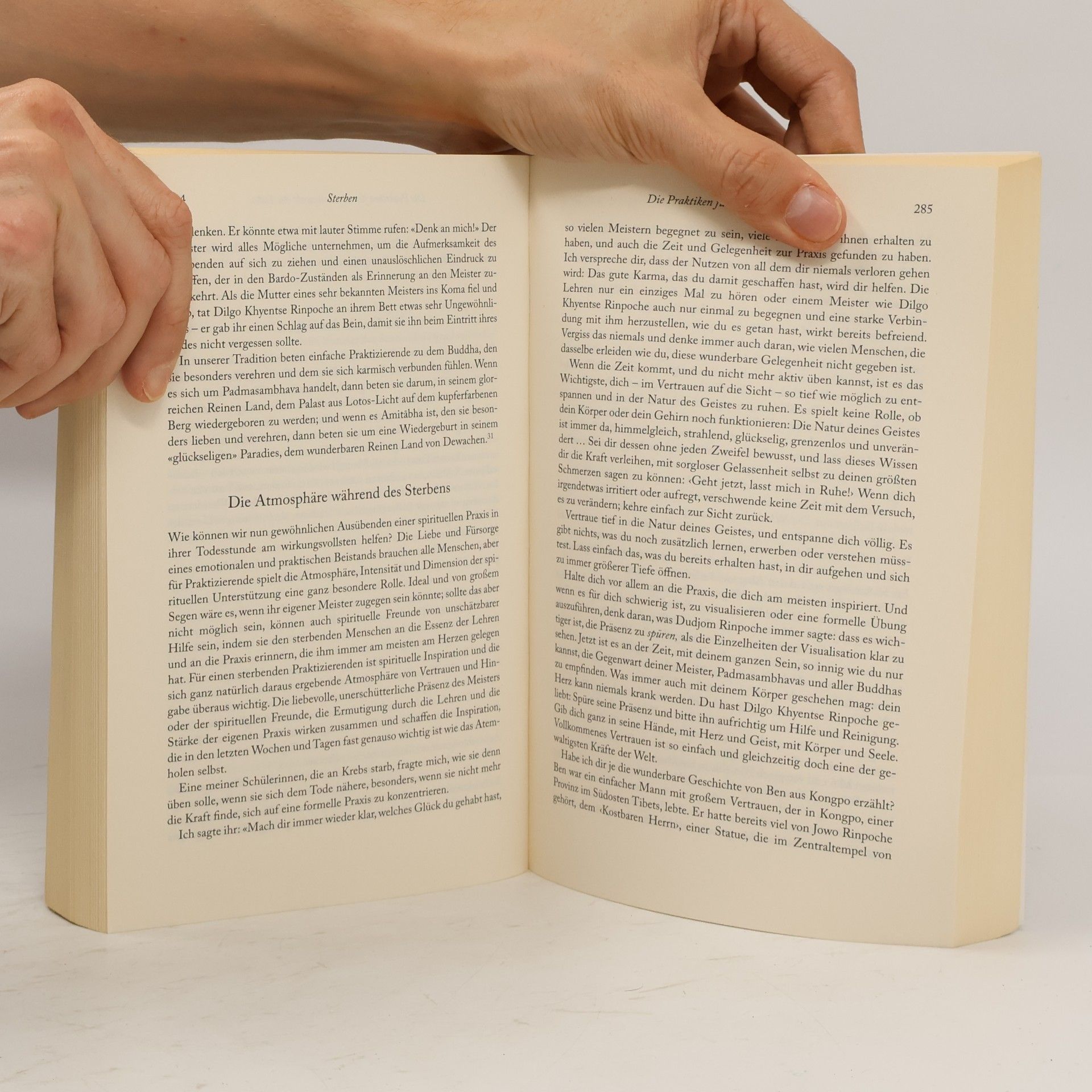 Sogyal Rinpoche Das tibetische Buch vom Leben und vom Sterben