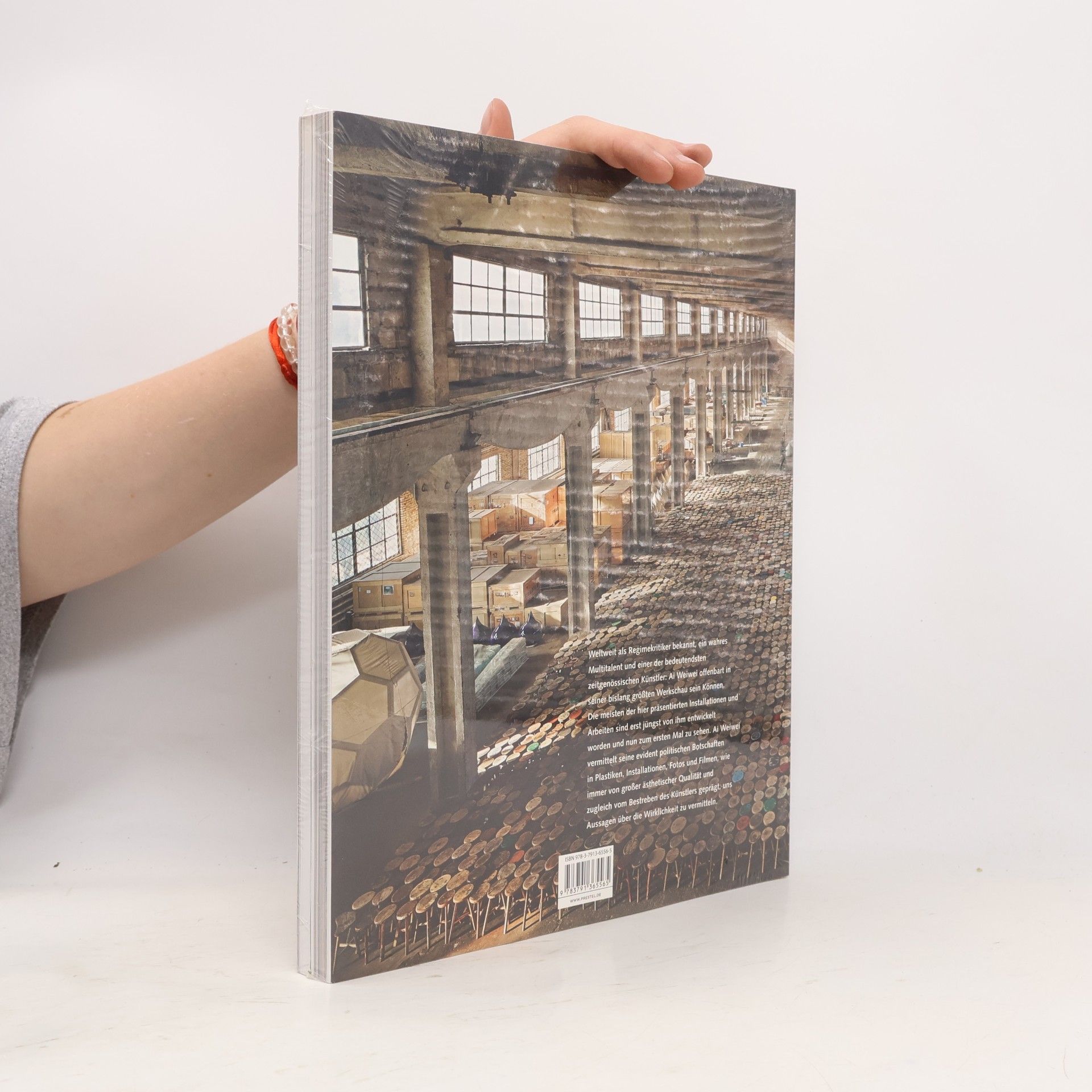 Gereon Sievernich Ai Weiwei - Evidence
