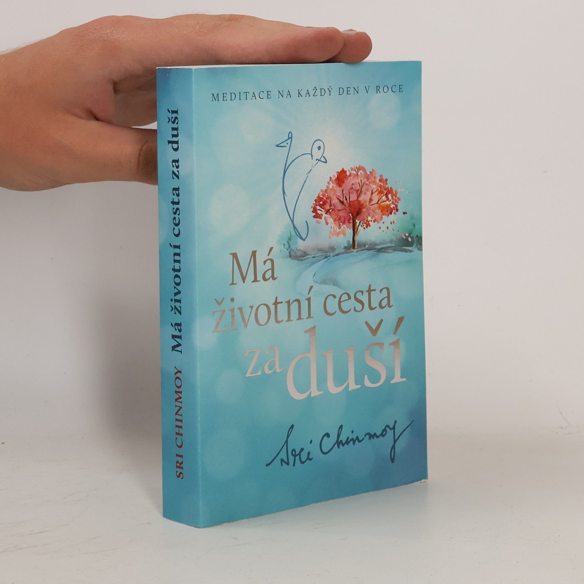 Chinmoy Kumar Ghose Má životní cesta za duší