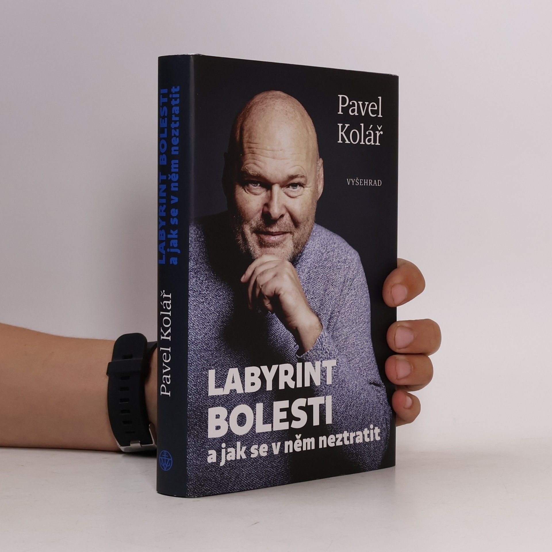 Pavel Kolář Labyrint bolesti a jak se v něm neztratit