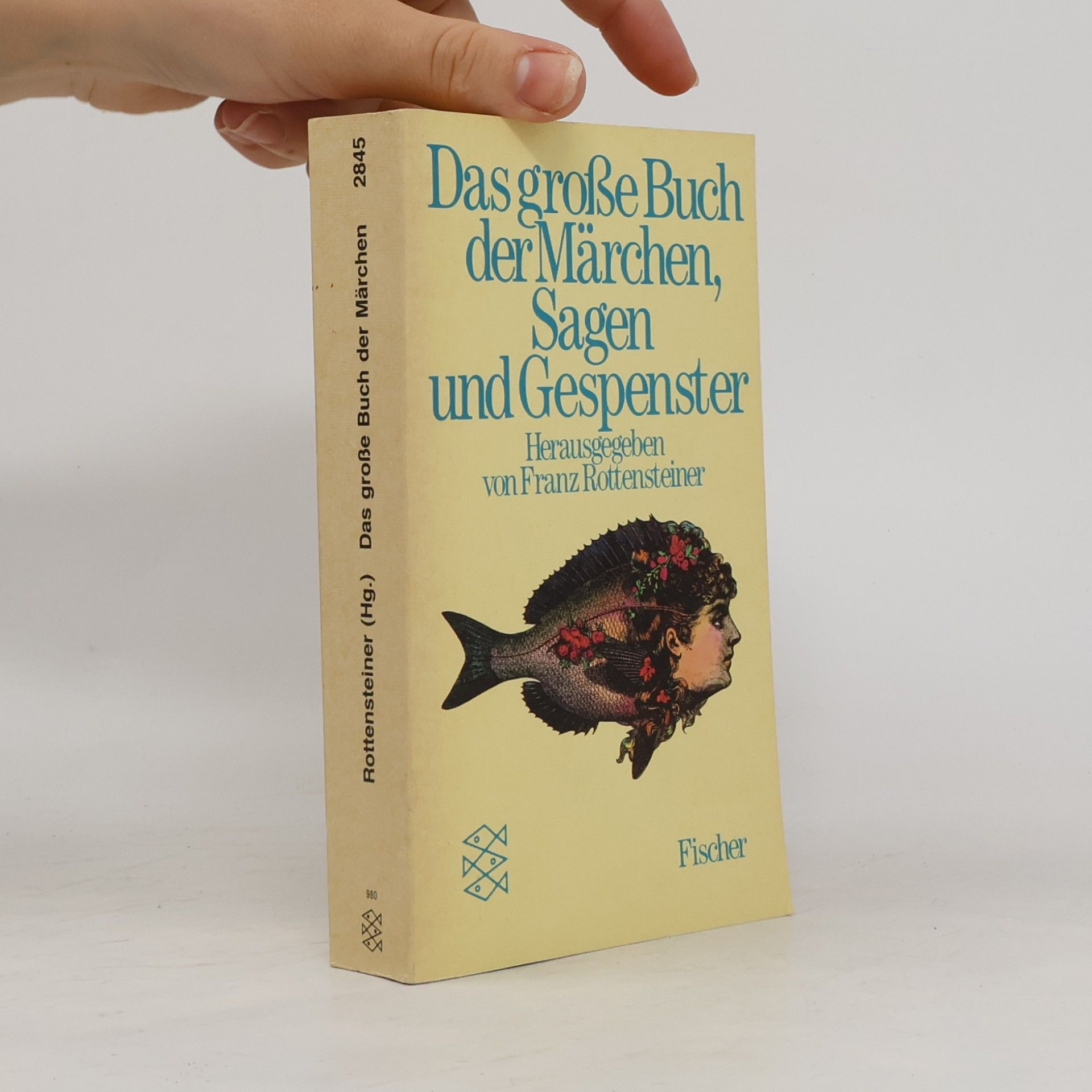 Franz Rottensteiner Das große Buch der Märchen, Sagen und Gespenster.