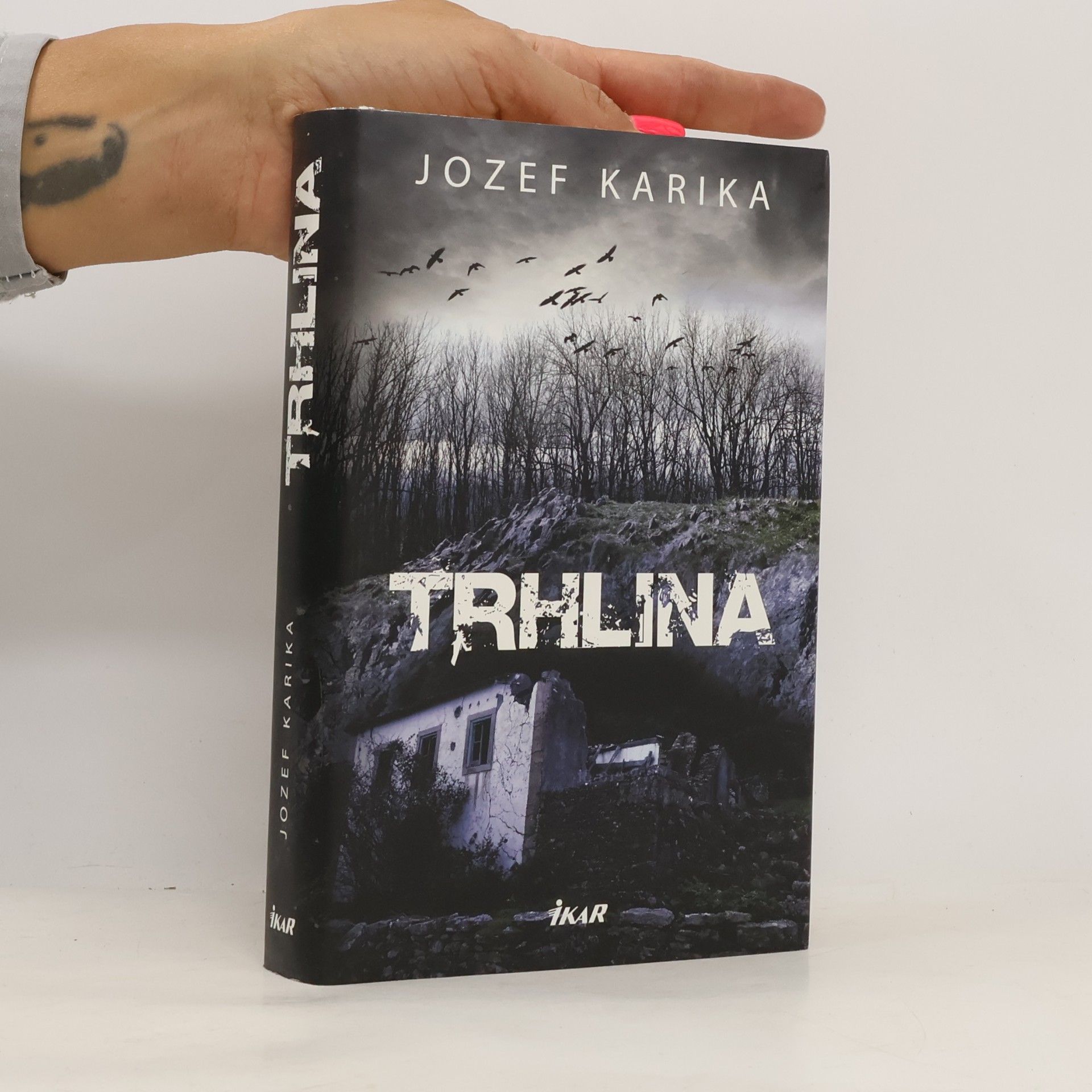 Jozef Karika Trhlina