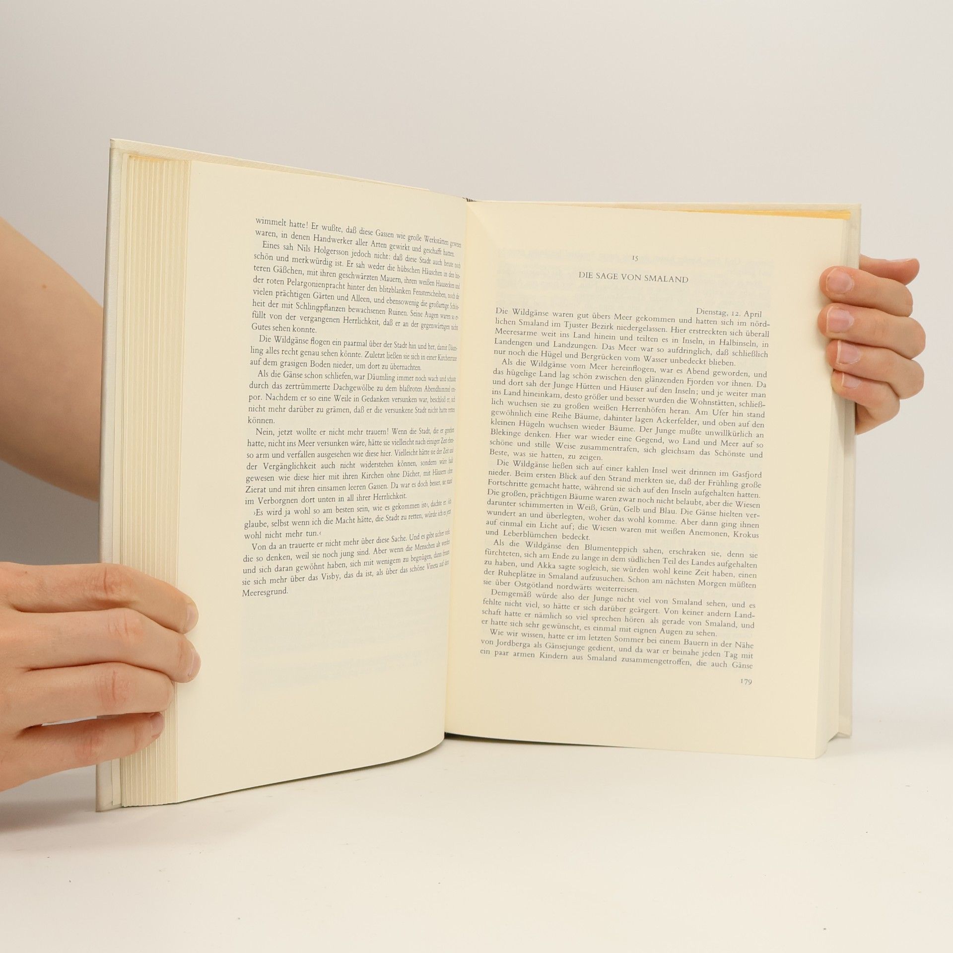 Selma Lagerlöf Wunderbare Reise des kleinen Nils Holgersson mit den Wildgänsen