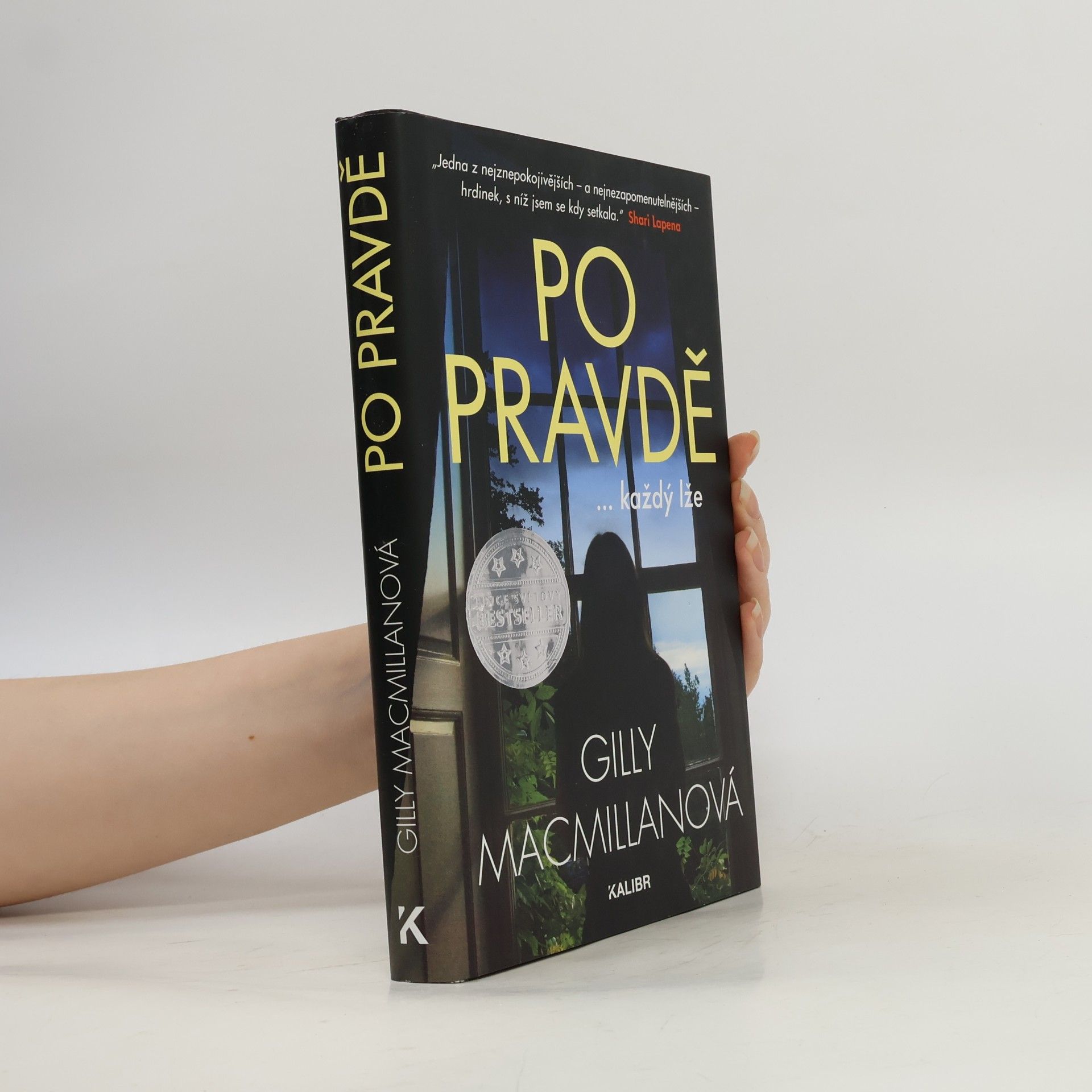 Gilly Macmillan Po pravdě ...každý lže