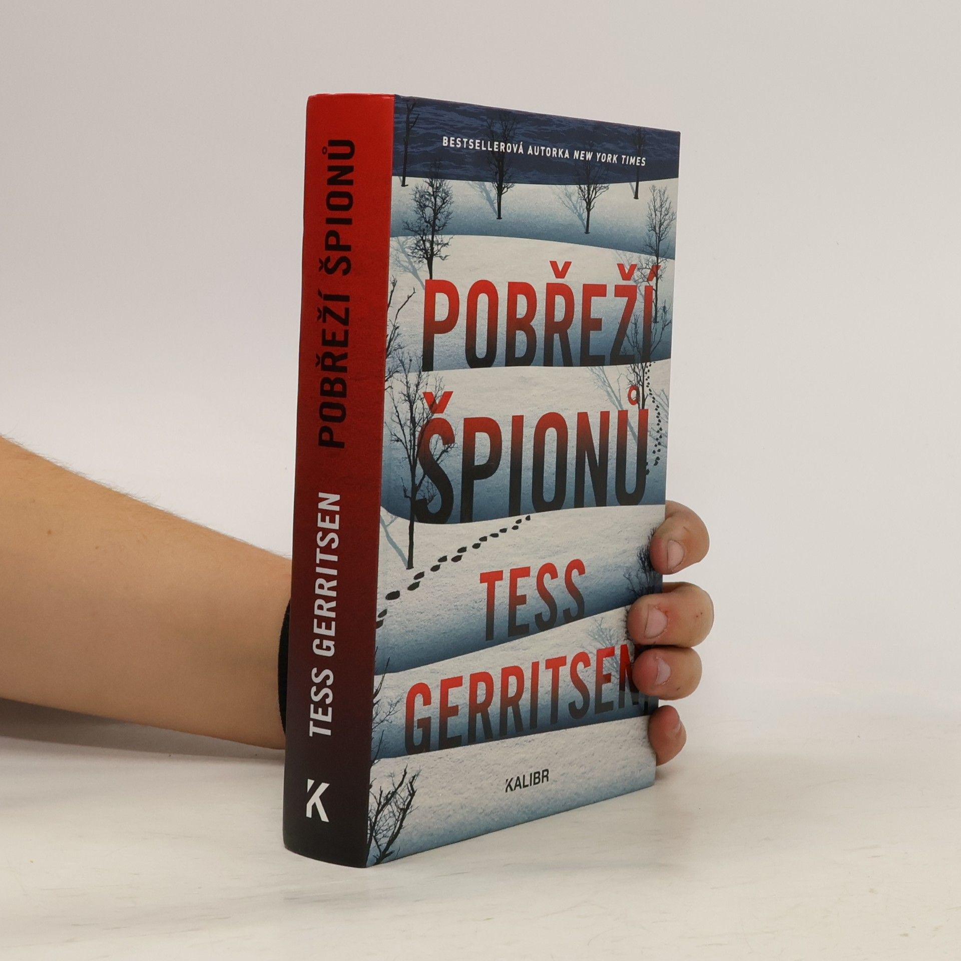 Tess Gerritsen Pobřeží špionů