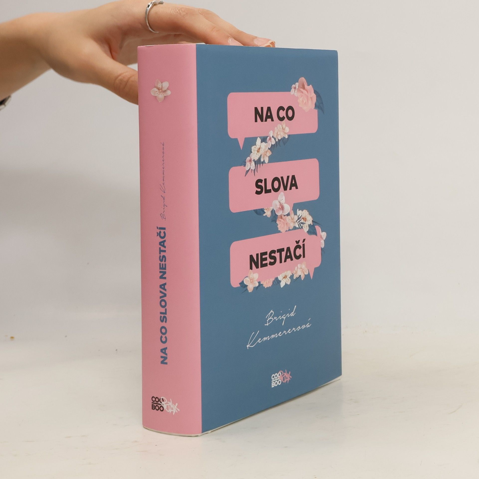 Brigid Kemmerer Na co slova nestačí