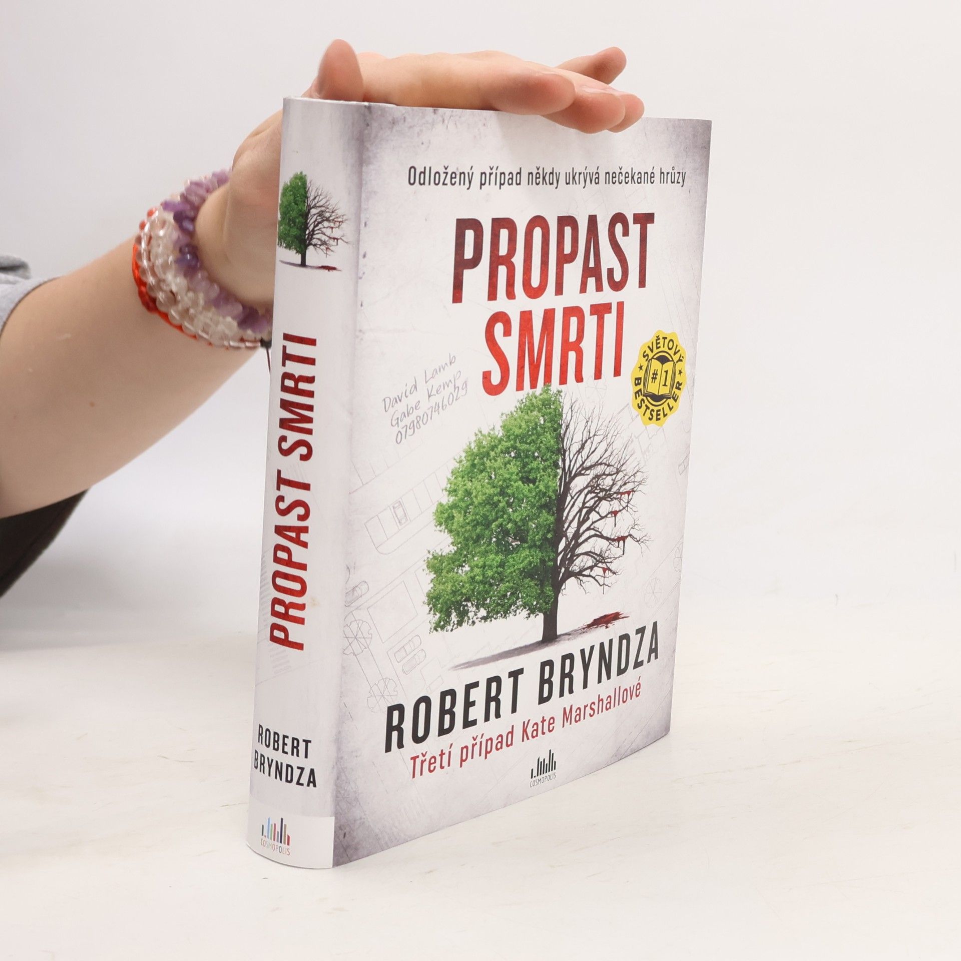 Robert Bryndza Propast smrti