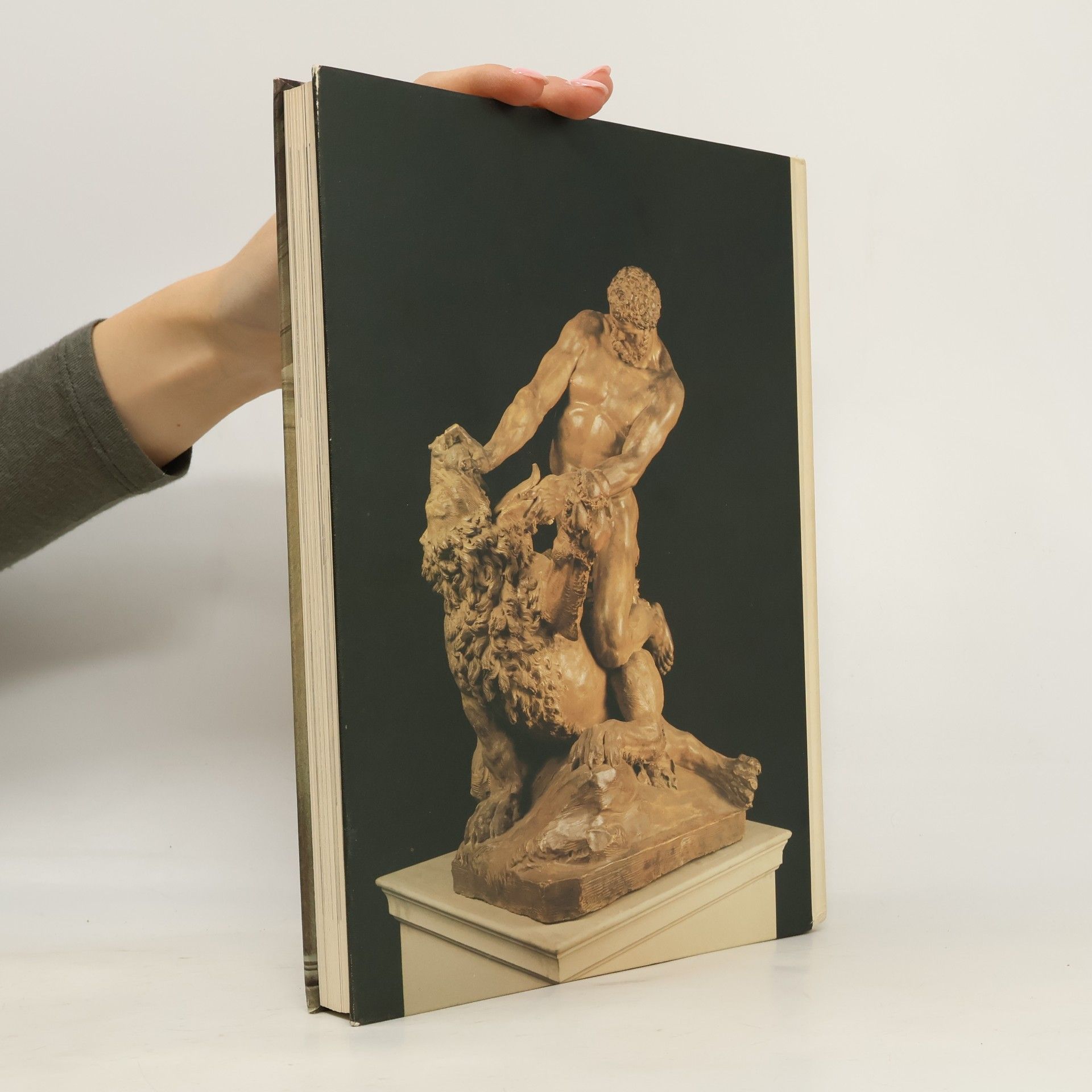 Franca Dalmasso L'accademia Albertina di Torino