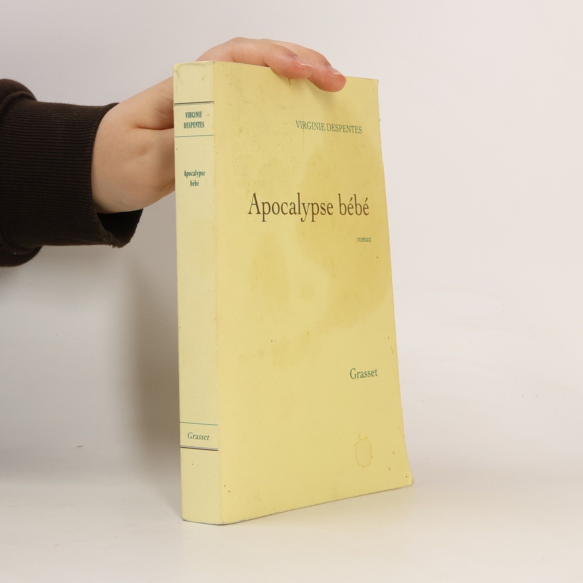Virginie Despentes Apocalypse bébé