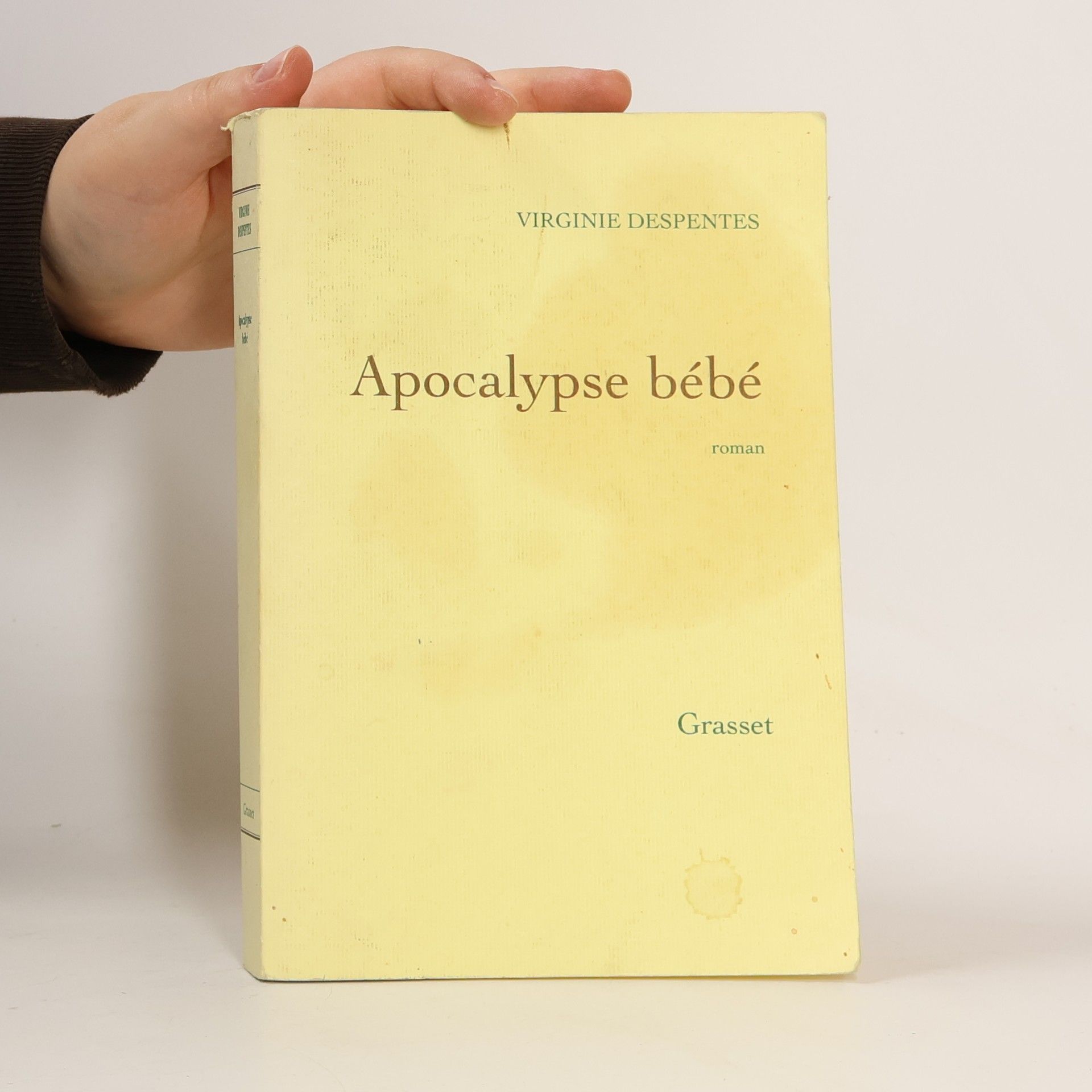 Virginie Despentes Apocalypse bébé