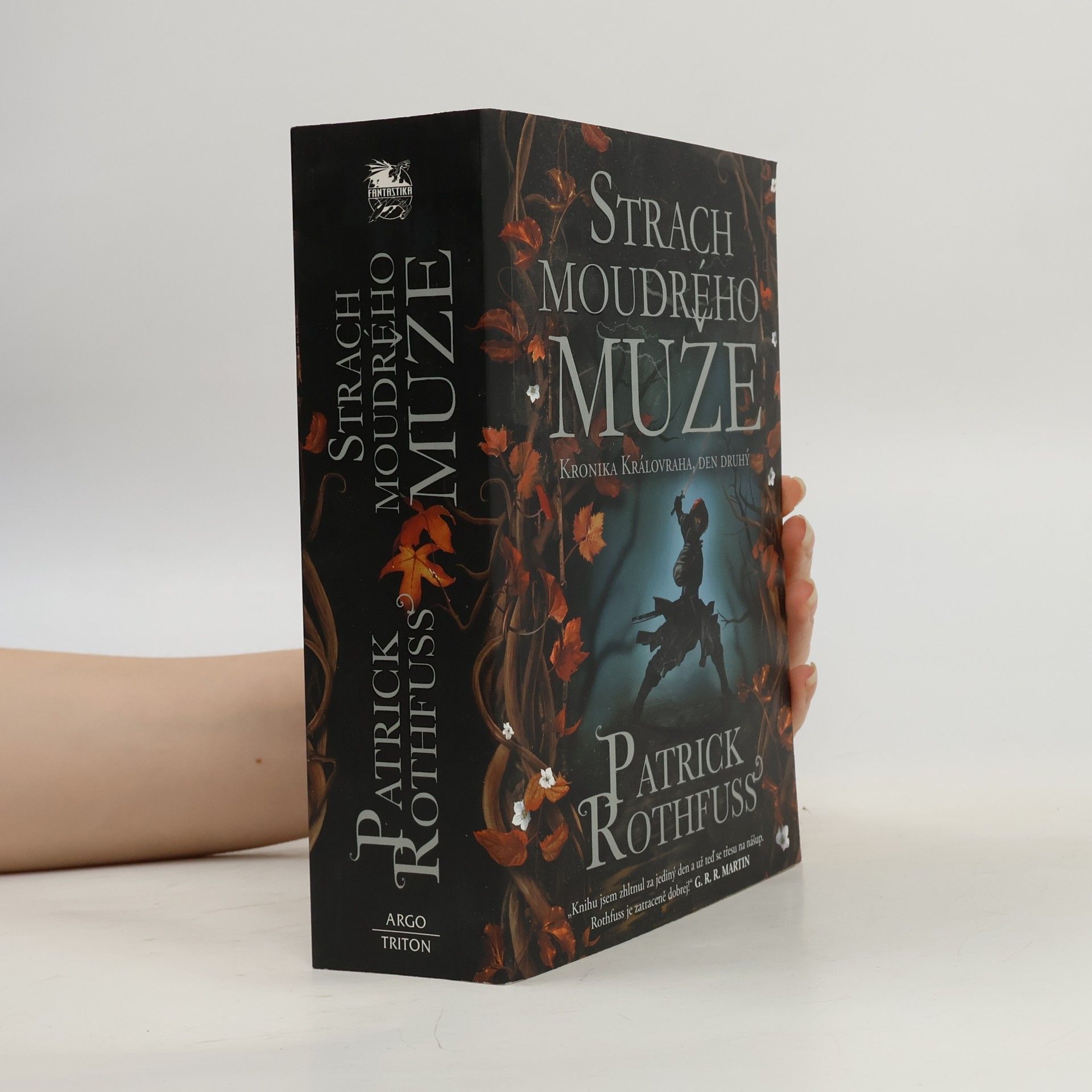 Patrick Rothfuss Strach moudrého muže