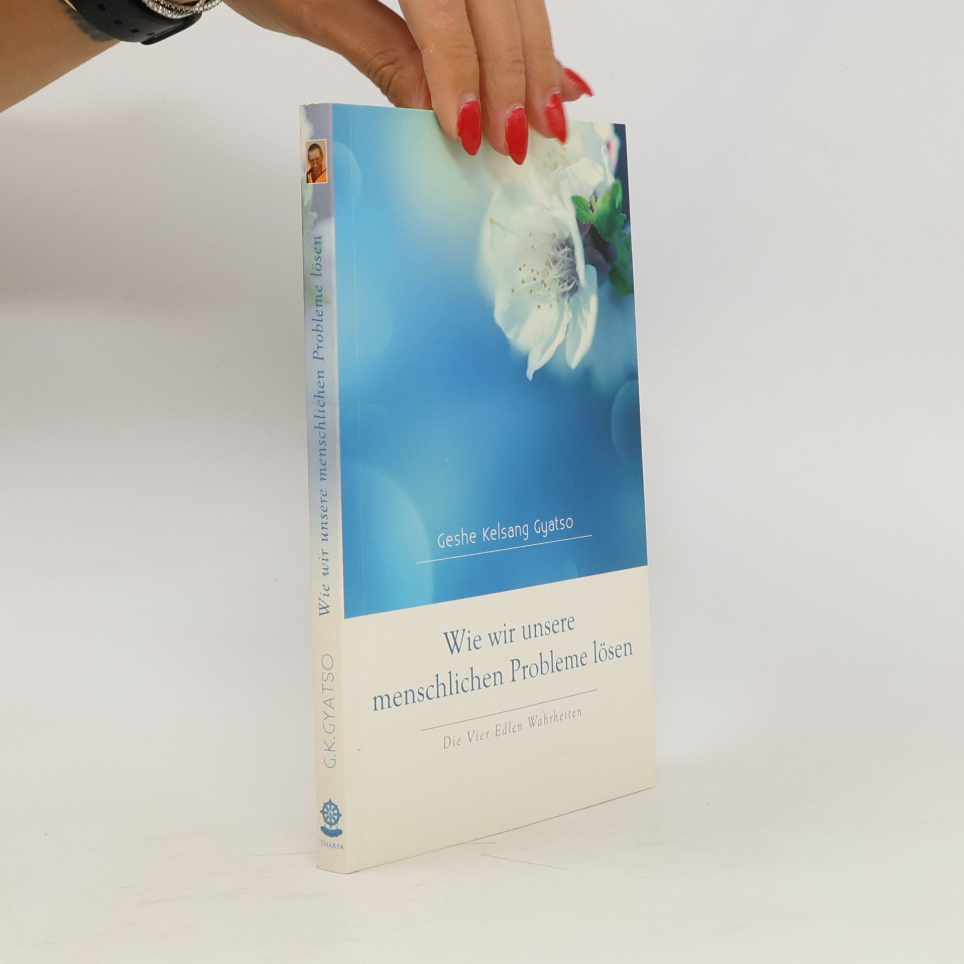 Kelsang Gyatso Wie wir unsere menschlichen Probleme lösen