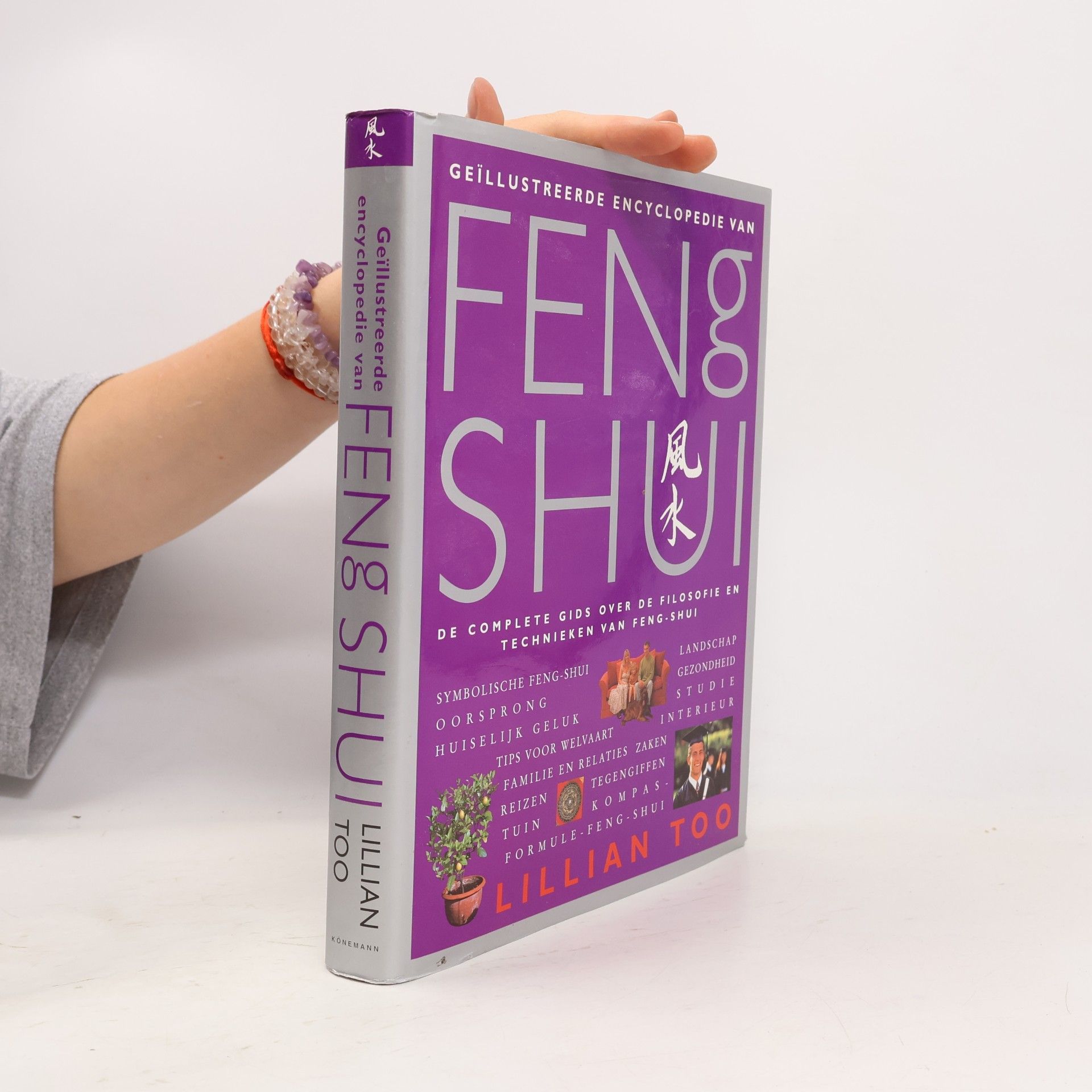 Lillian Too Geïllustreerde encyclopedie van Feng Shui