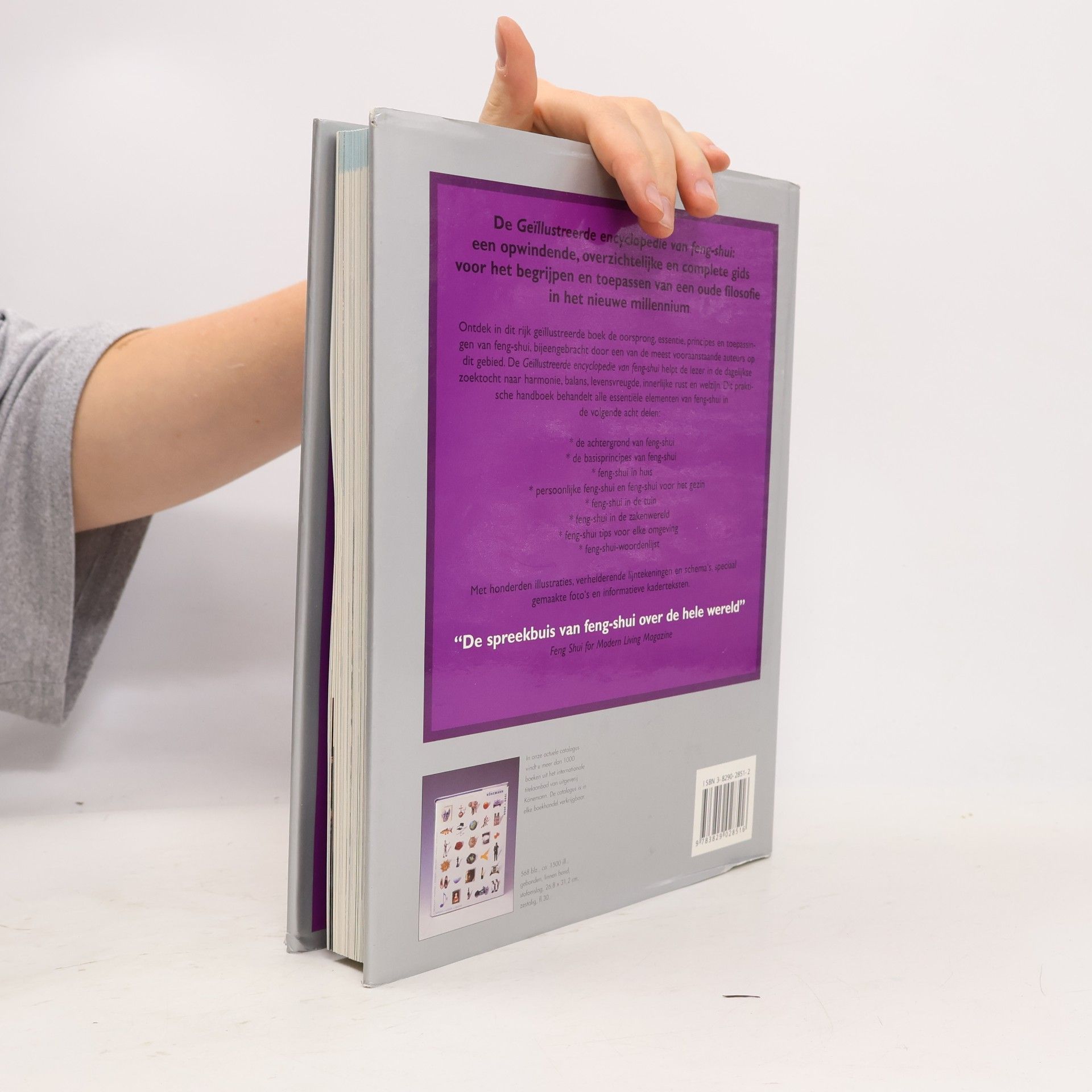 Lillian Too Geïllustreerde encyclopedie van Feng Shui