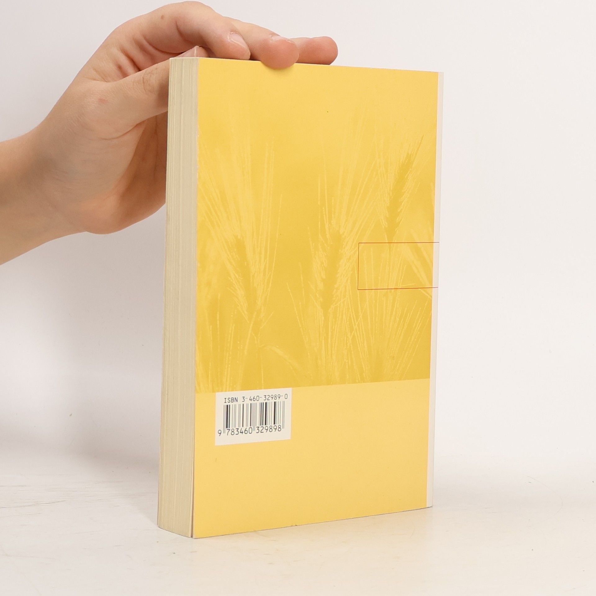 Autorenkollektiv Das Neue Testament. Einheitsübersetzung