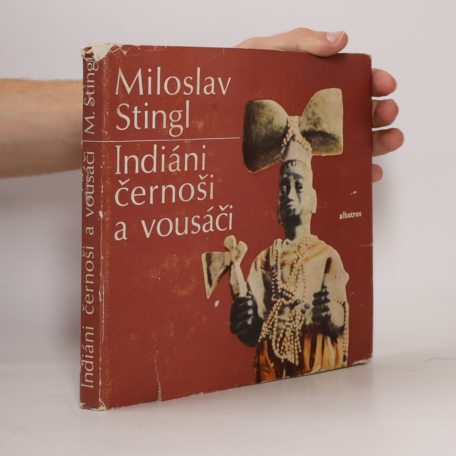 Miloslav Stingl Indiáni, černoši a vousáči