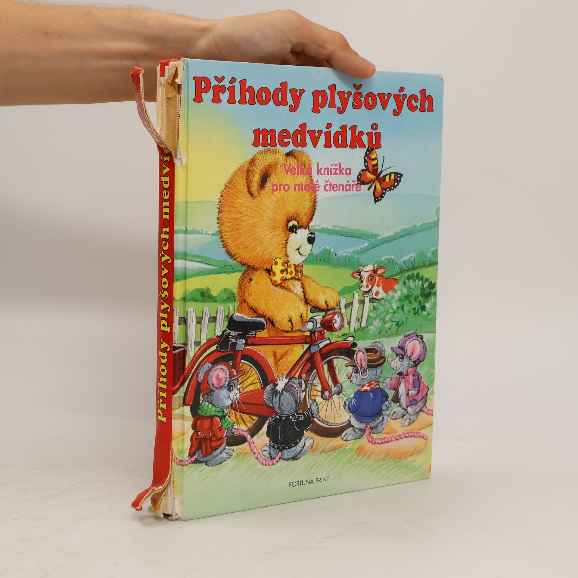 Renata Biligmann Příhody plyšových medvídků