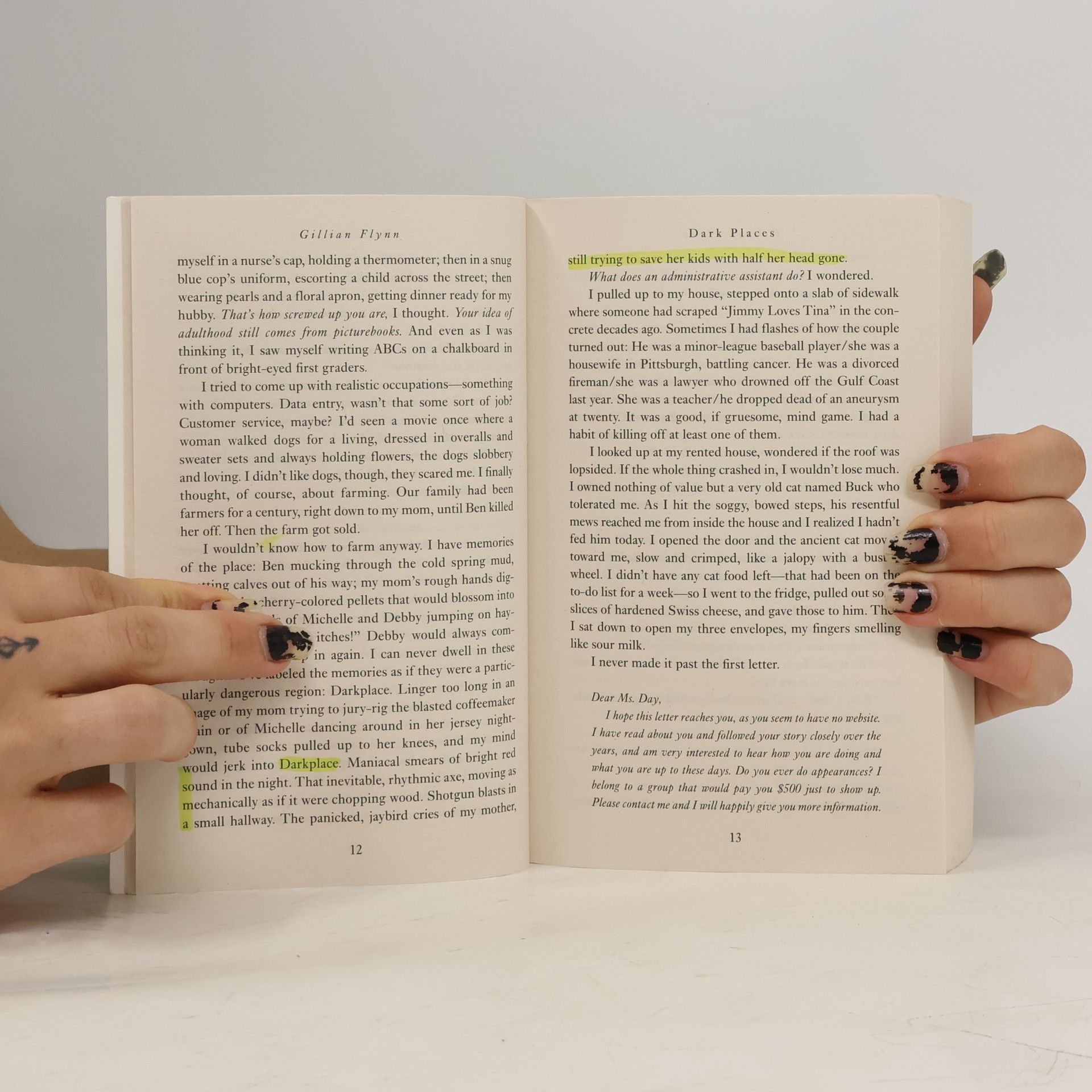 Gillian Flynn Dark Places