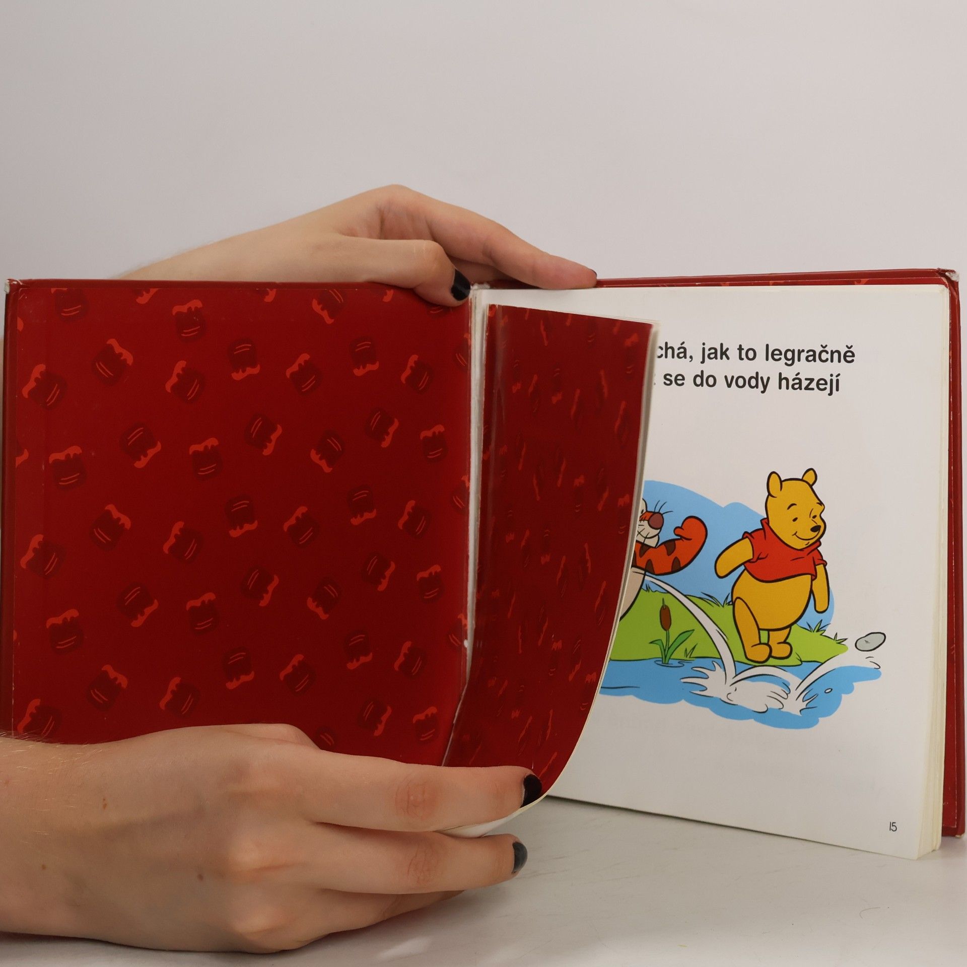 Auteurscollectief Poznávej svět kolem sebe s Medvídkem Pú