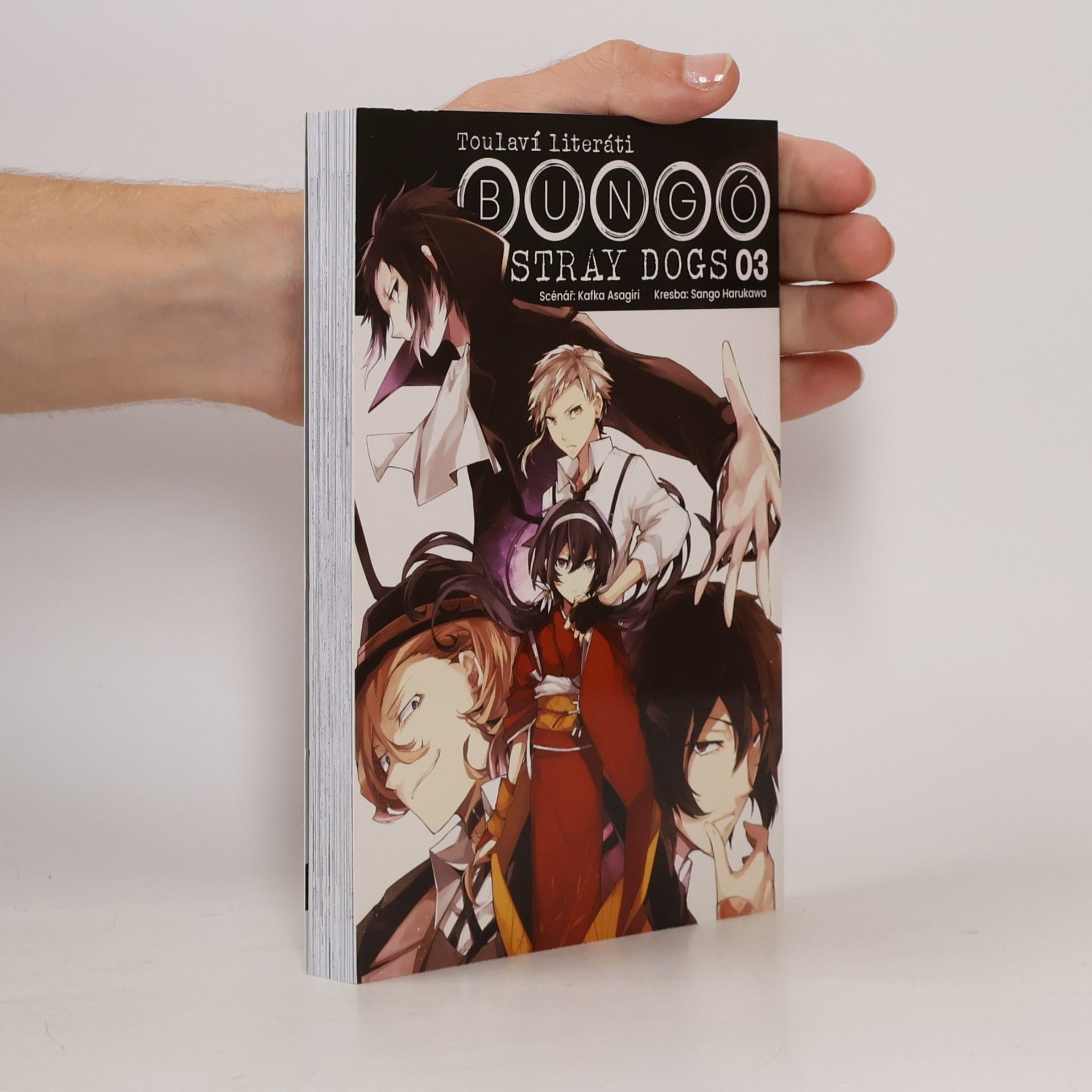 Kafka Asagiri Toulaví literáti 3