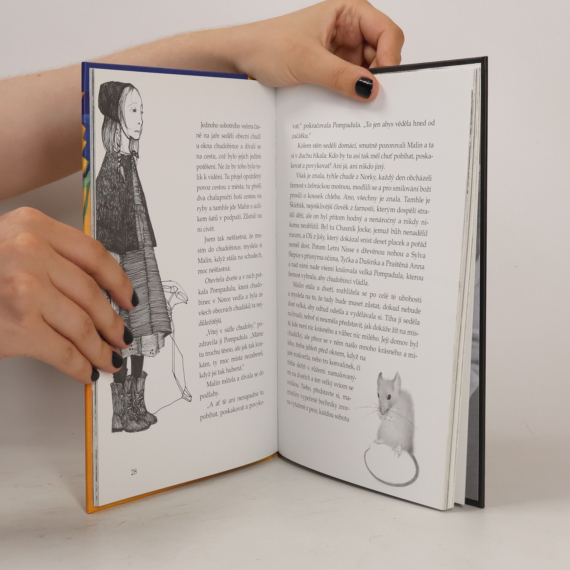 Astrid Lindgren Jižní louka