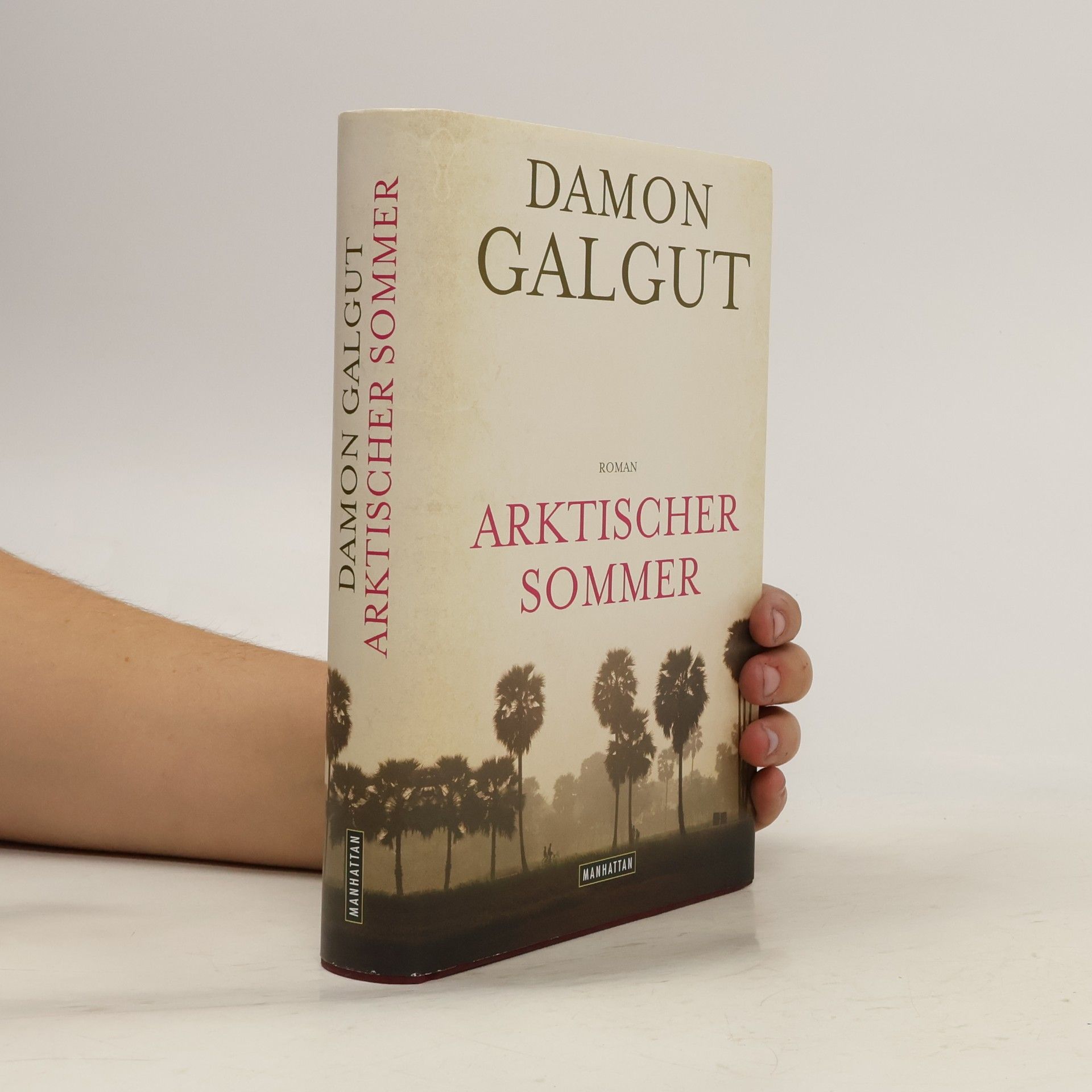 Damon Galgut Arktischer Sommer