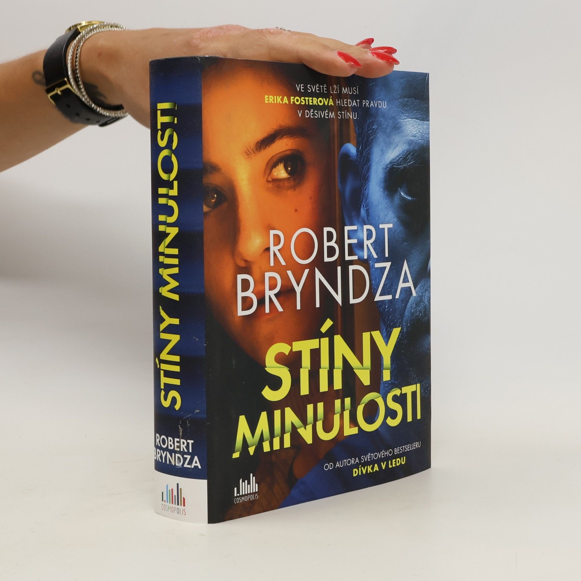 Robert Bryndza Stíny minulosti