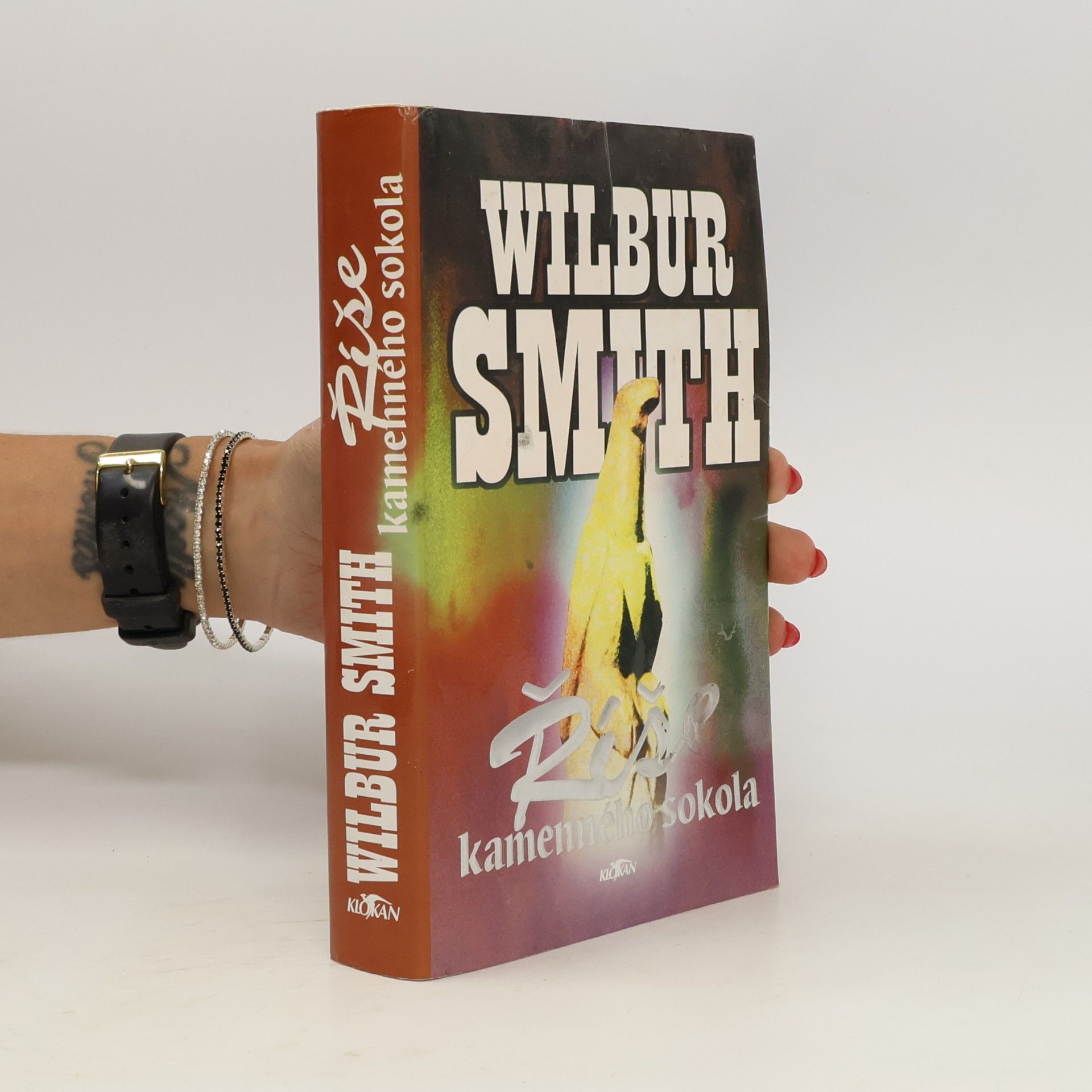 Wilbur Smith Říše kamenného sokola