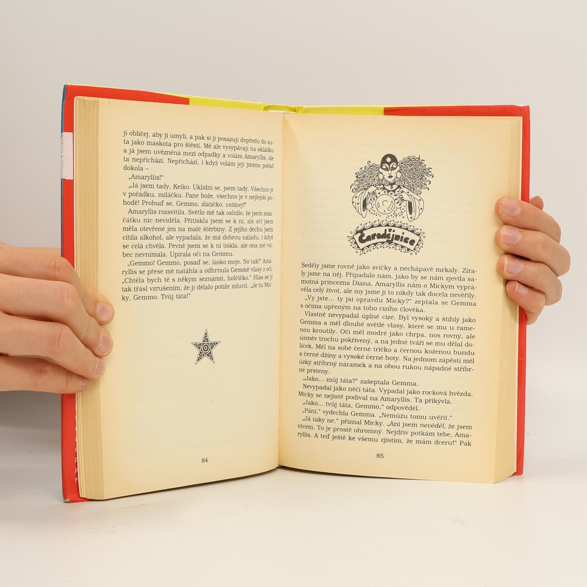 Jacqueline Wilson Ilustrovaná máma