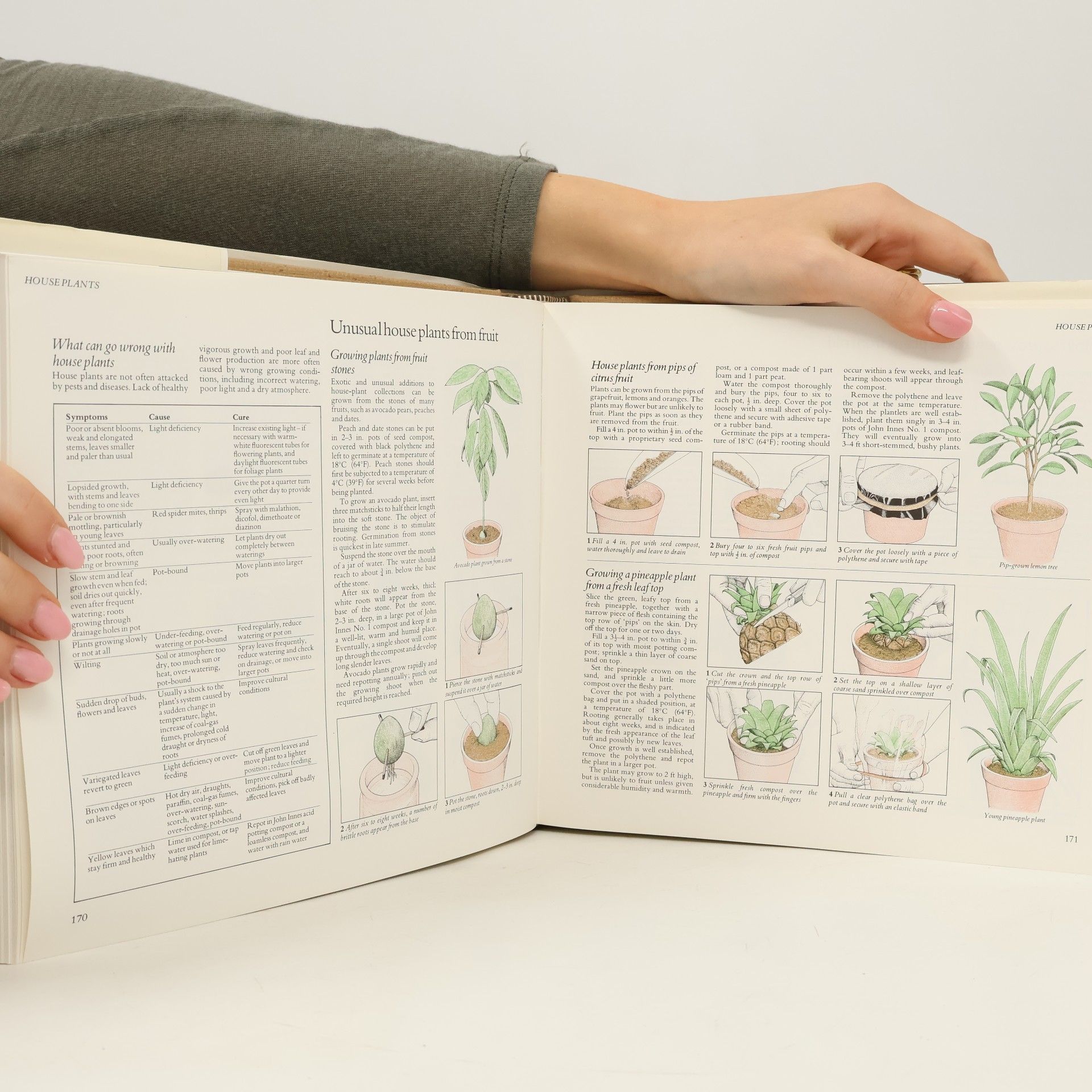 Autorenkollektiv New Illustrated Guide to Gardening