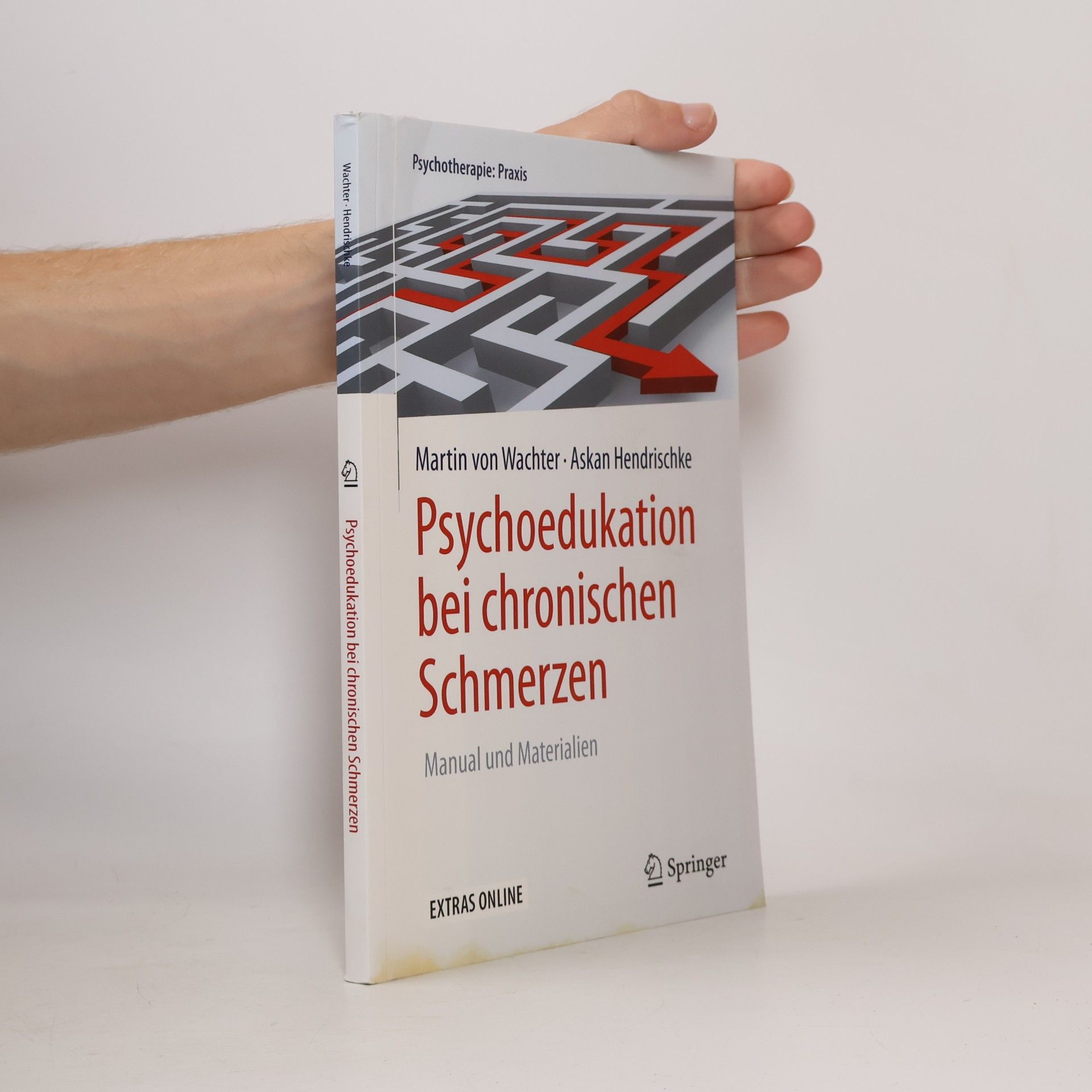 Martin von Wachter Psychoedukation bei chronischen Schmerzen