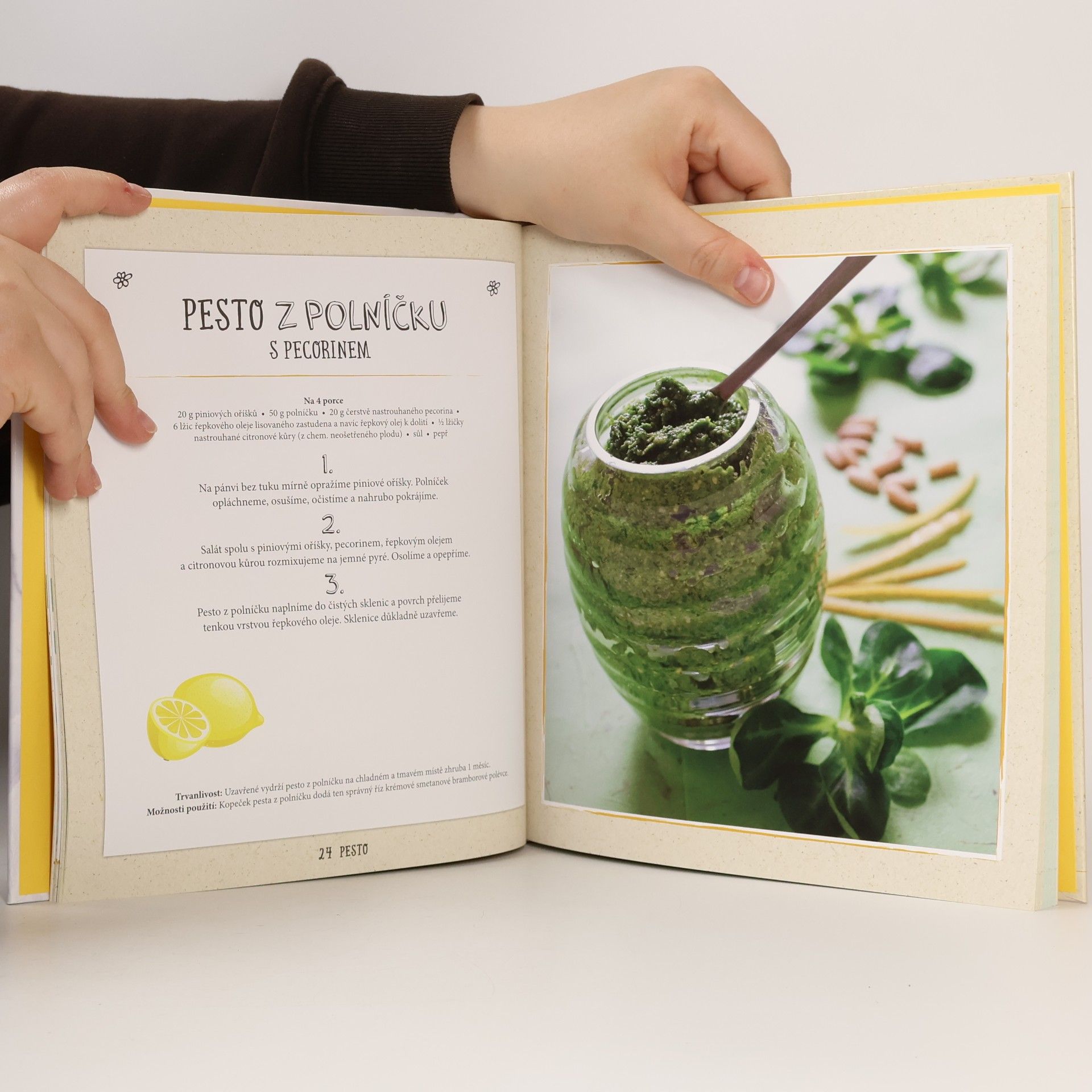 Autorenkollektiv Pesto a čatní. Jednoduchá domácí příprava