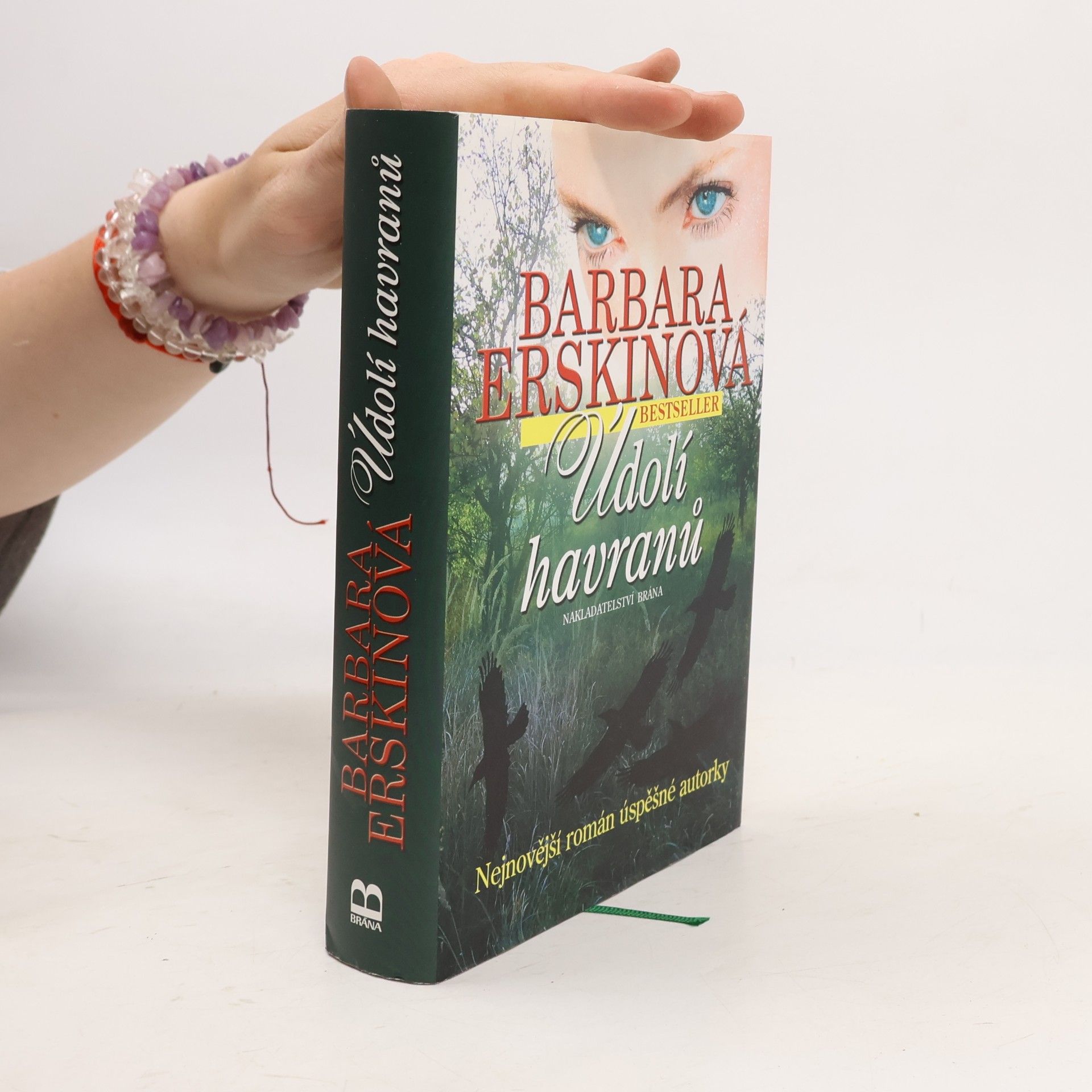 Barbara Erskinová Údolí havranů