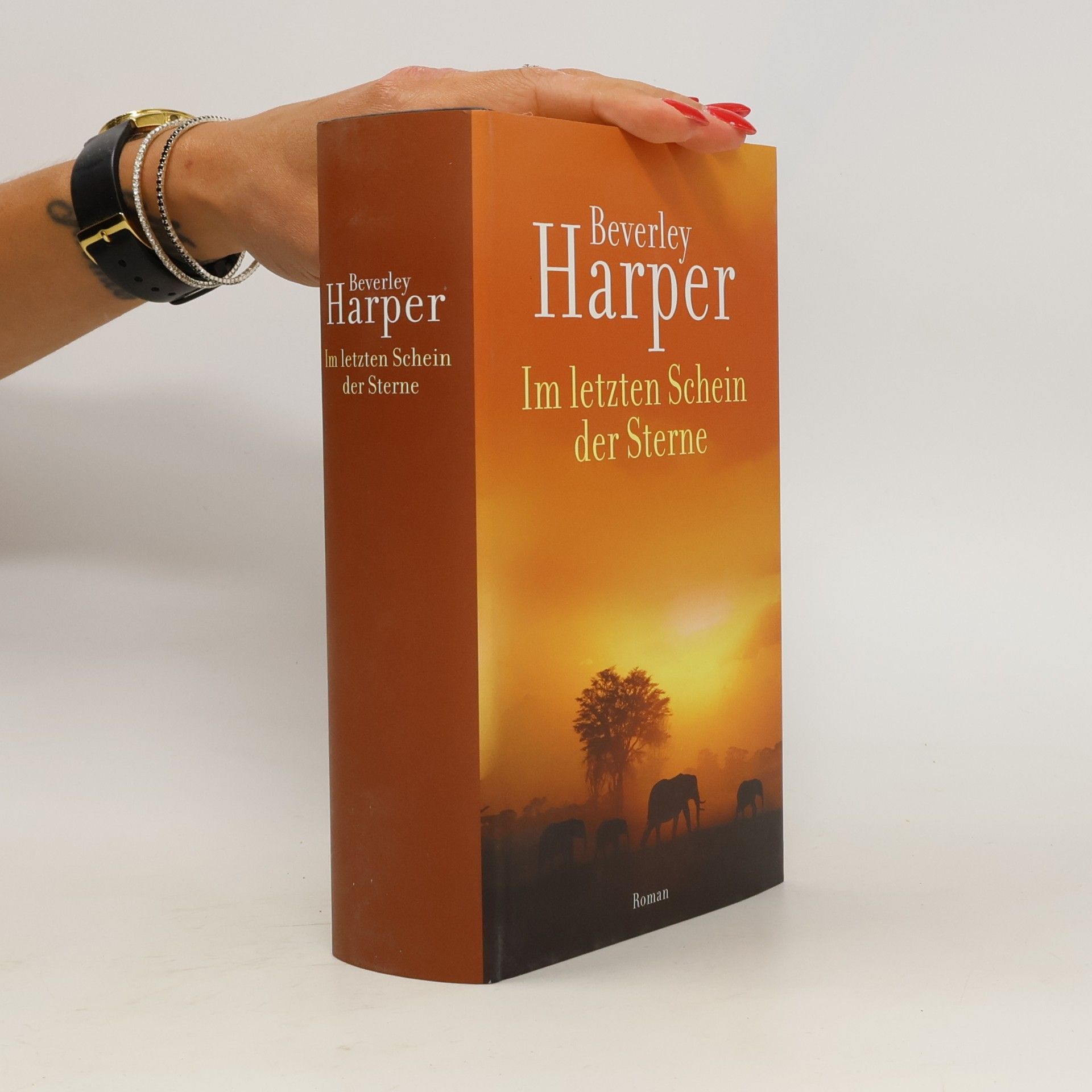 Beverley Harper Im letzten Schein der Sterne