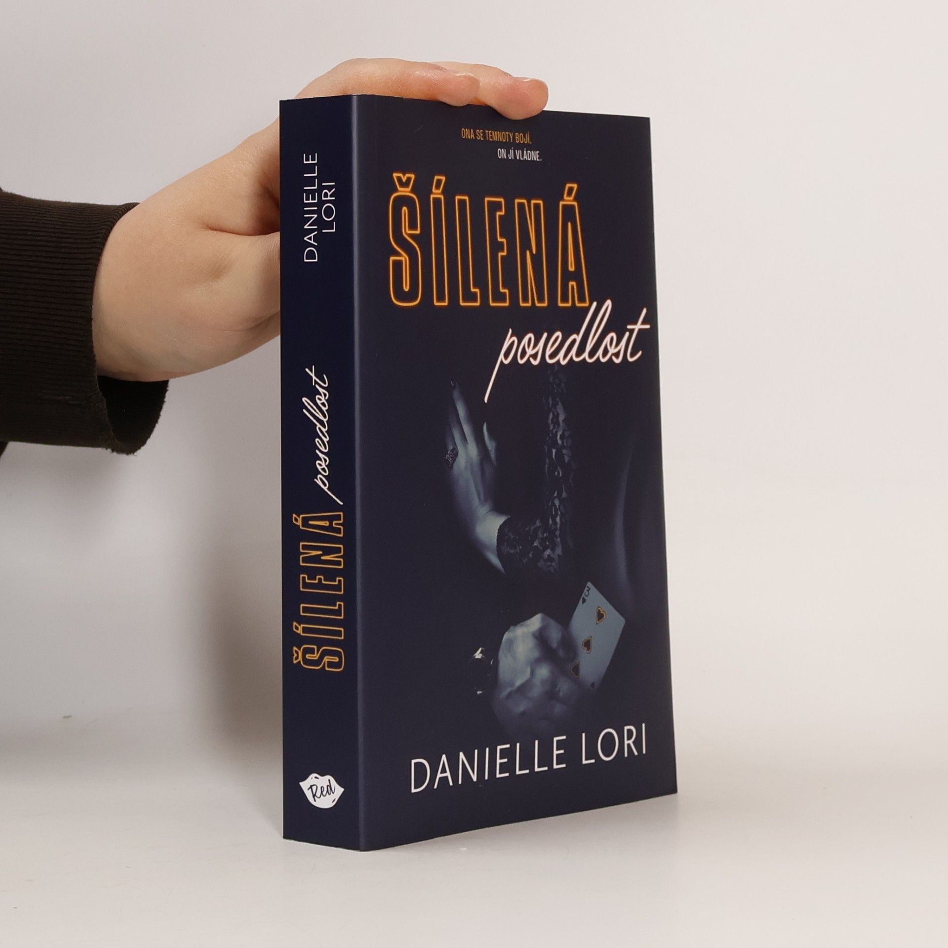 Danielle Lori Šílená posedlost