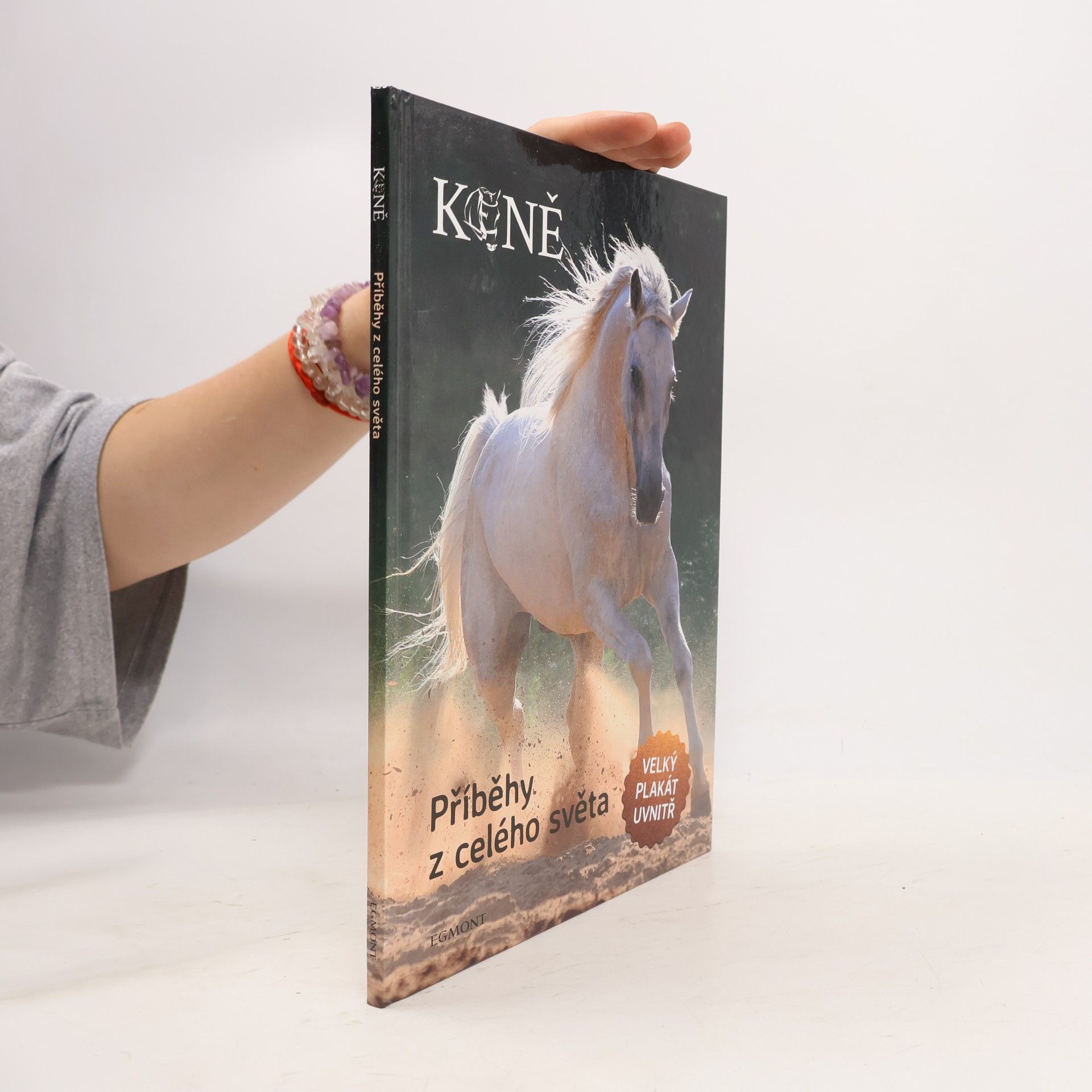 Various authors Koně: příběhy z celého světa