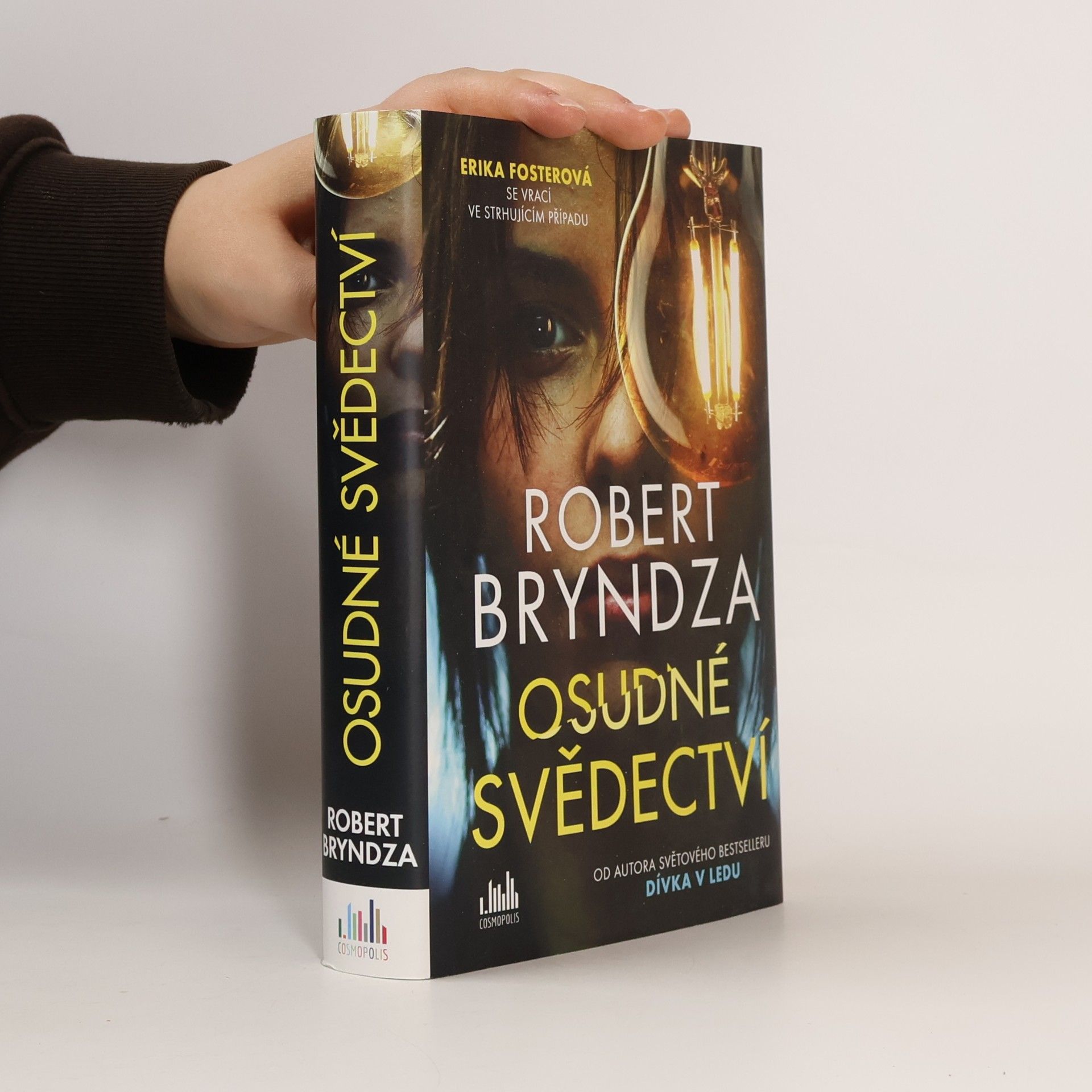 Robert Bryndza Osudné svědectví