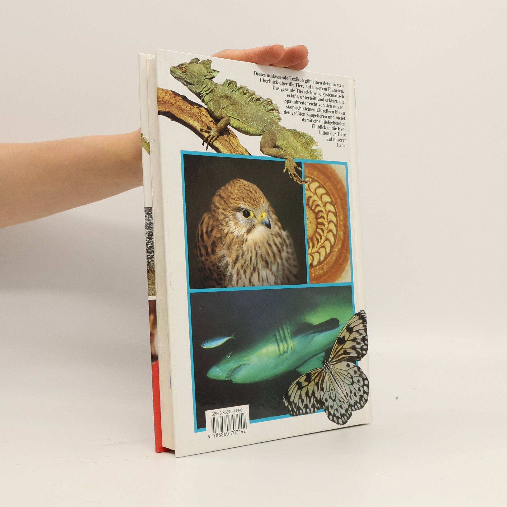 Zdeněk Veselovský Das große farbige Handbuch der Tiere