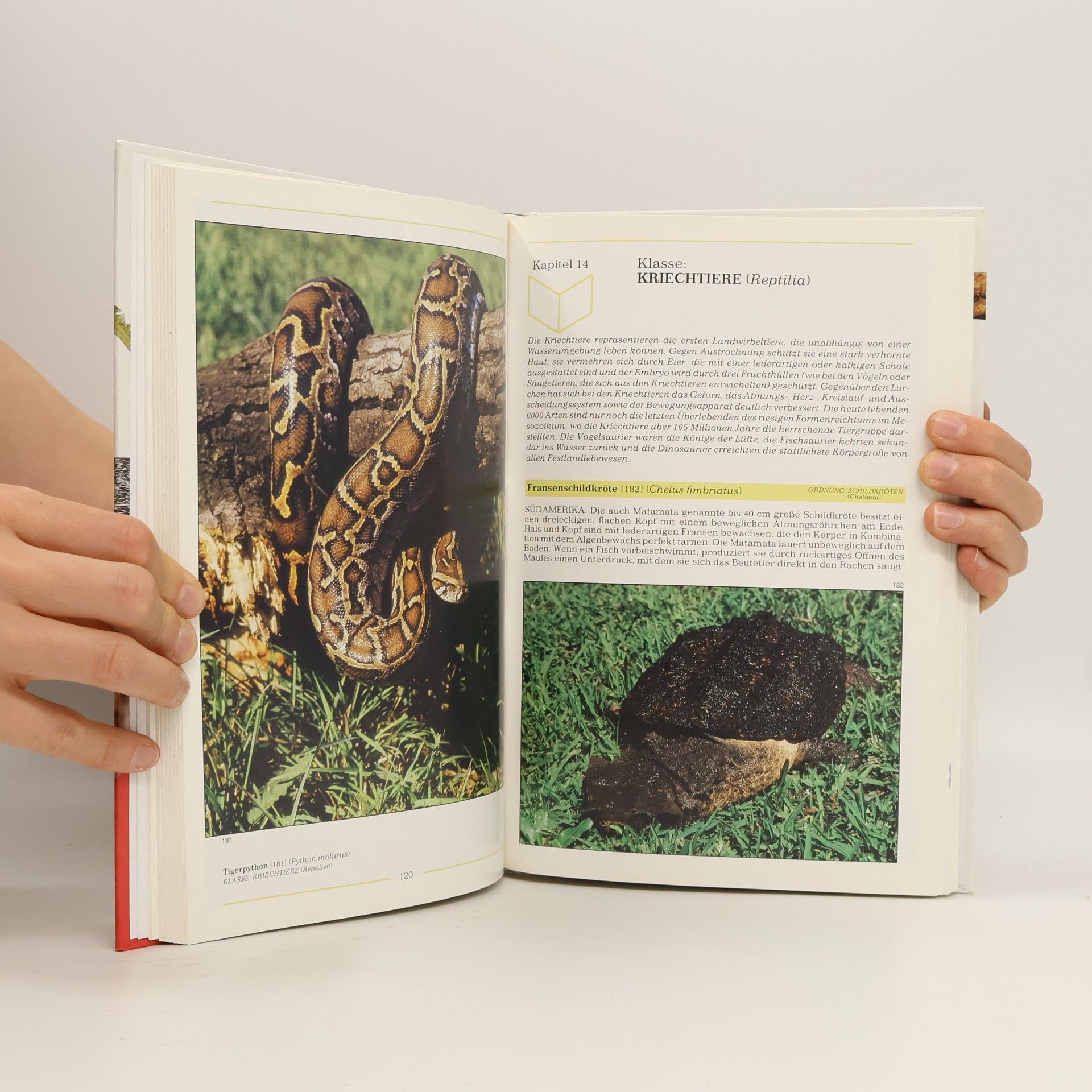 Zdeněk Veselovský Das große farbige Handbuch der Tiere