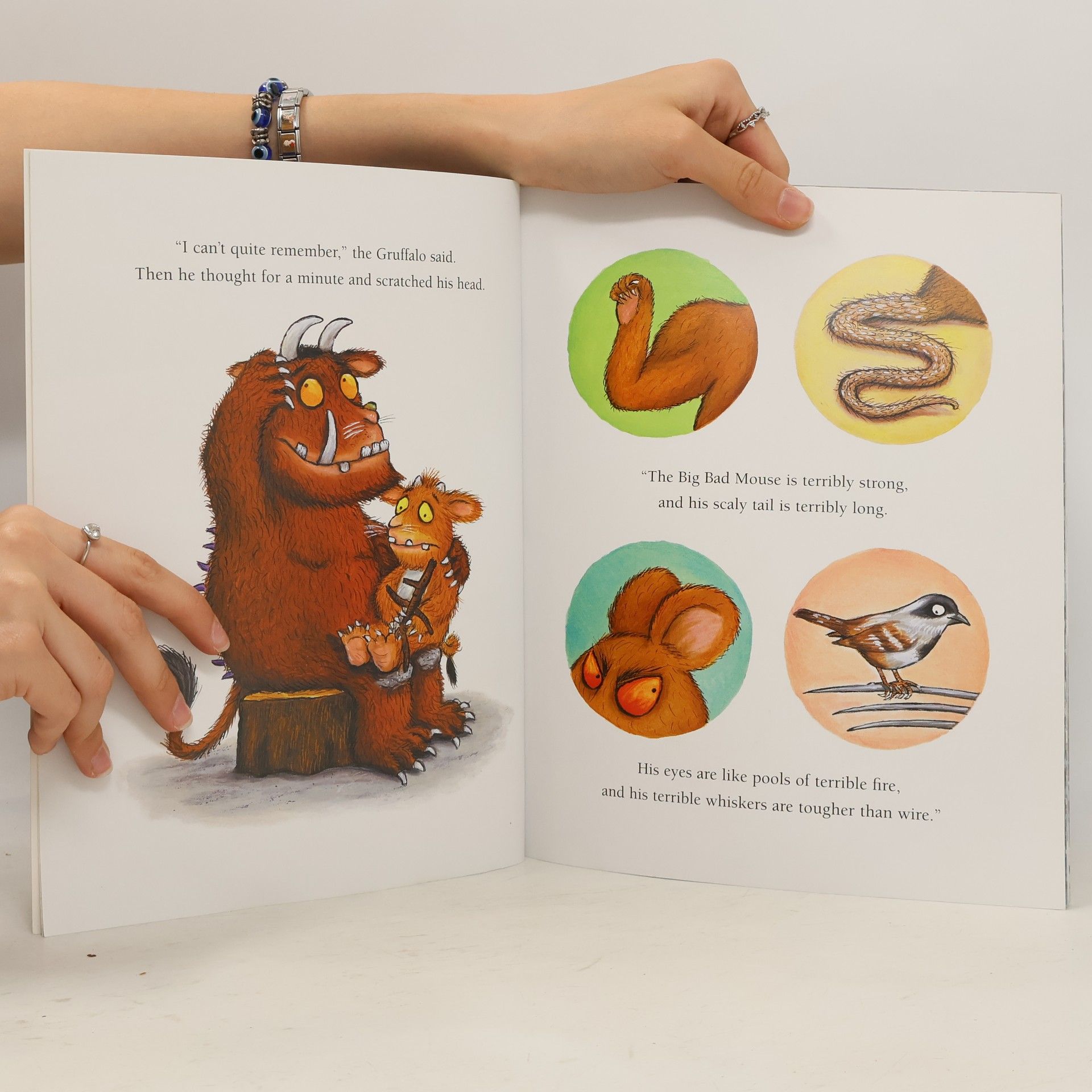 Julia Donaldson The Gruffalo's Child