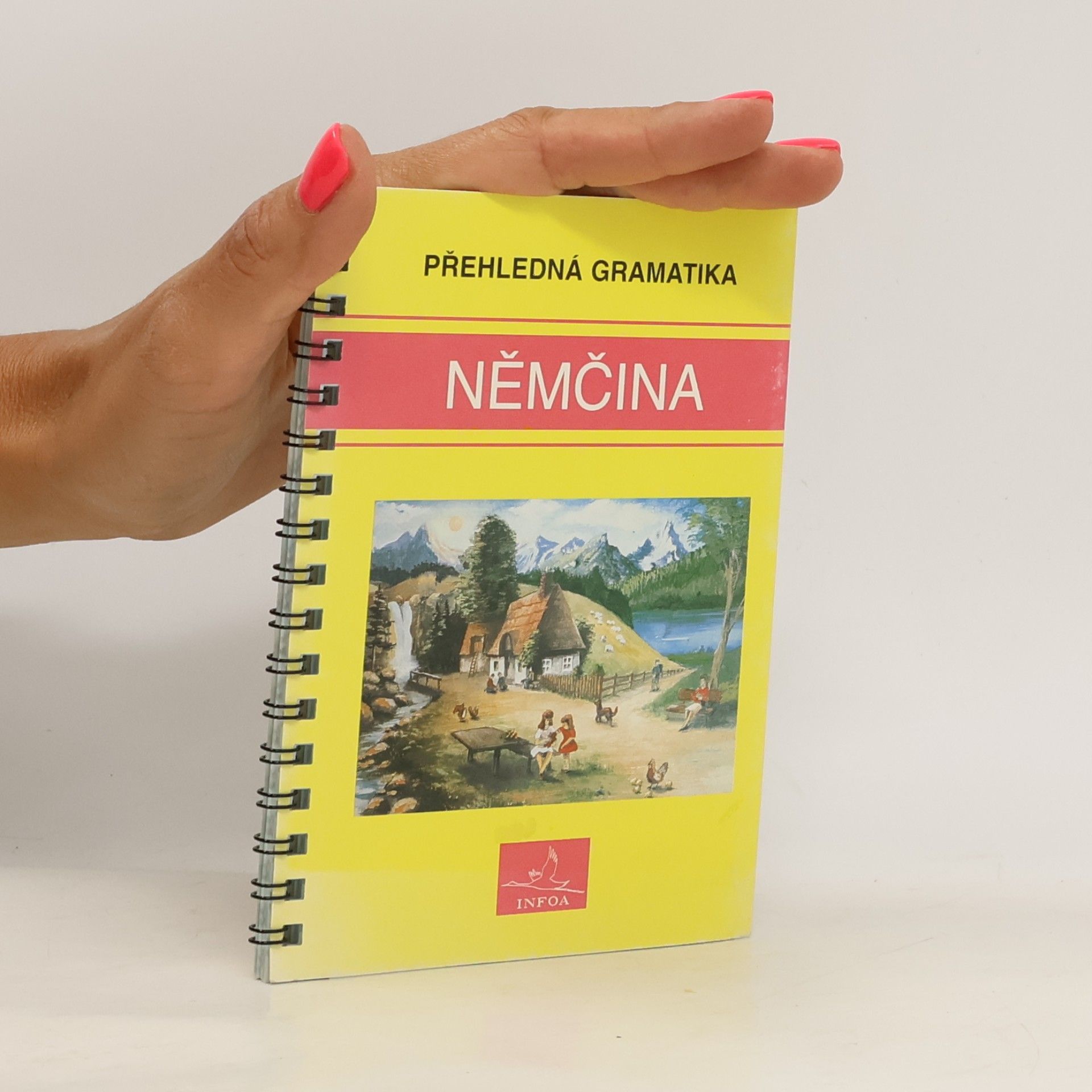 Němčina. Přehledná gramatika