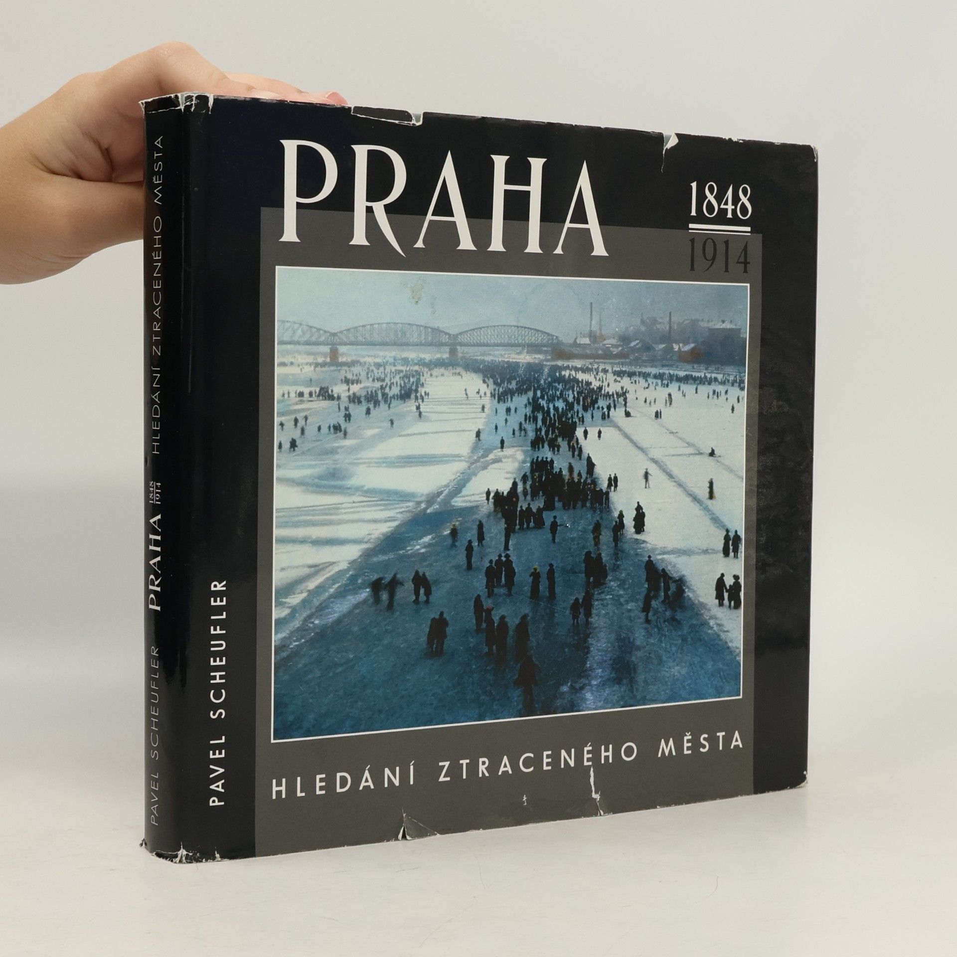 Pavel Scheufler Praha 1848-1914 : hledání ztraceného města